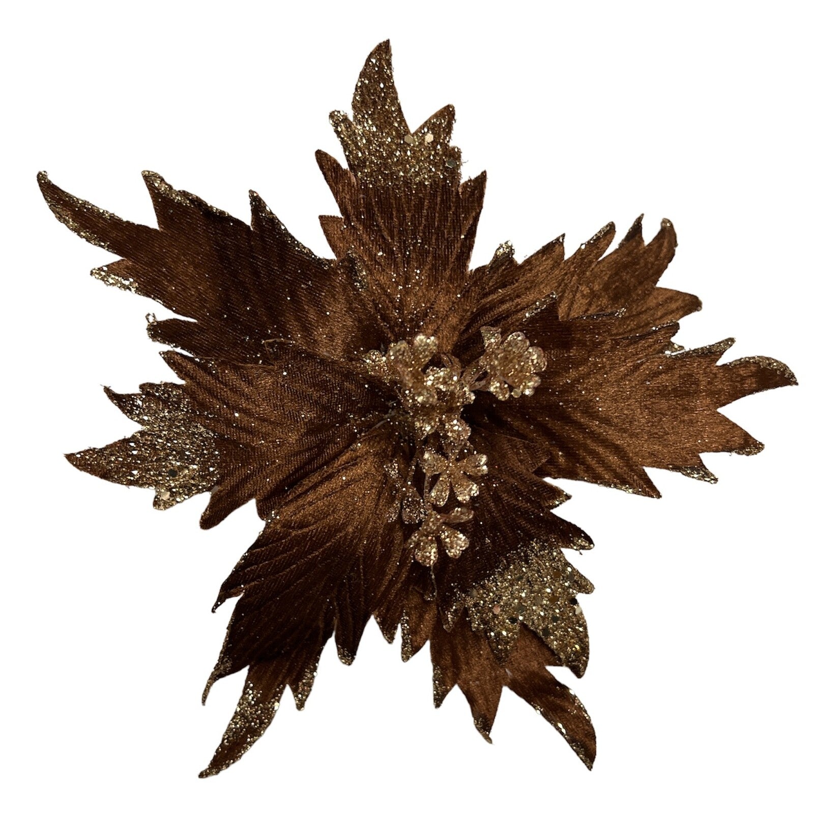 floarea-craciunului-10set-331-15