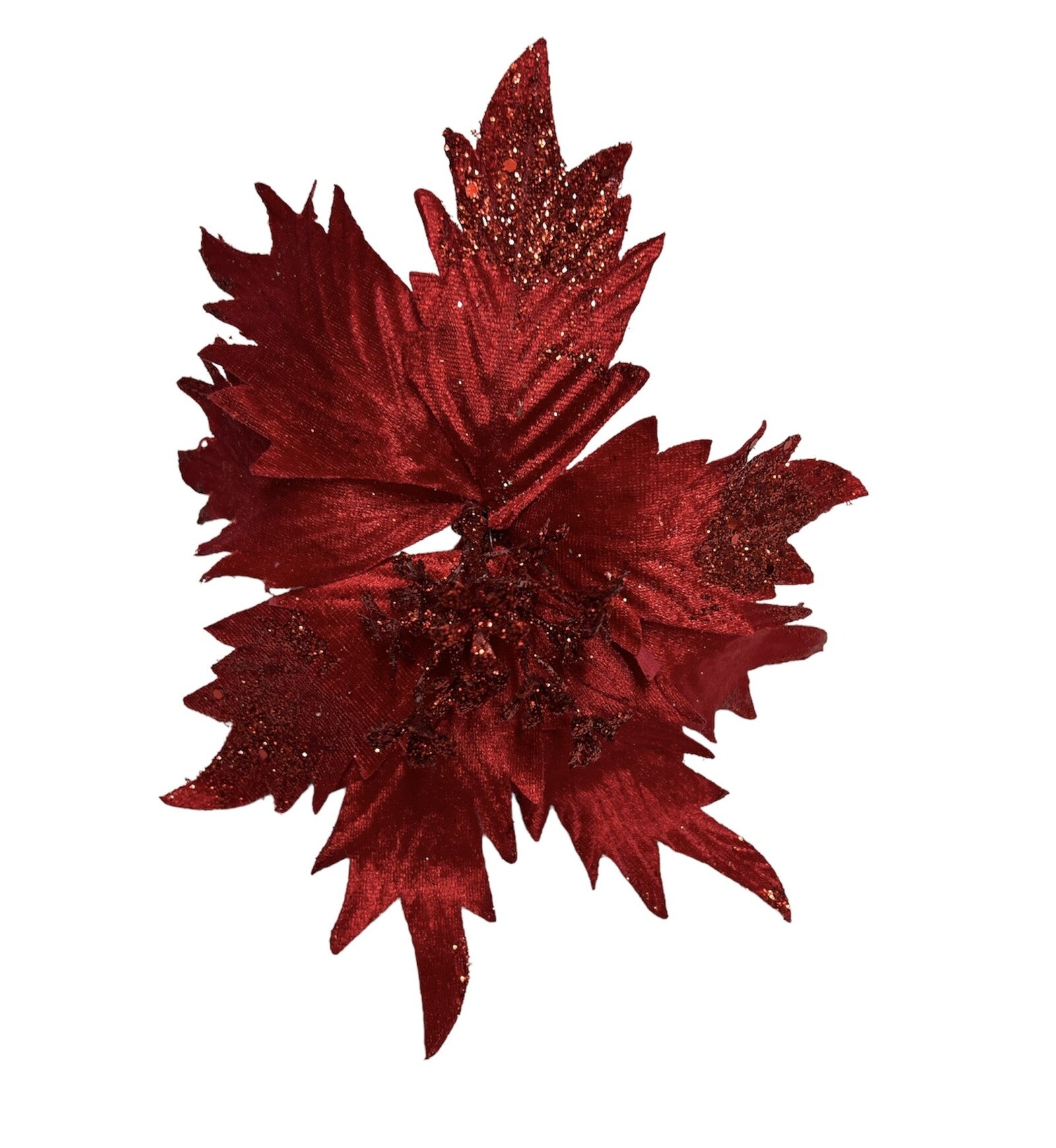 floarea-craciunului-10set-331-15