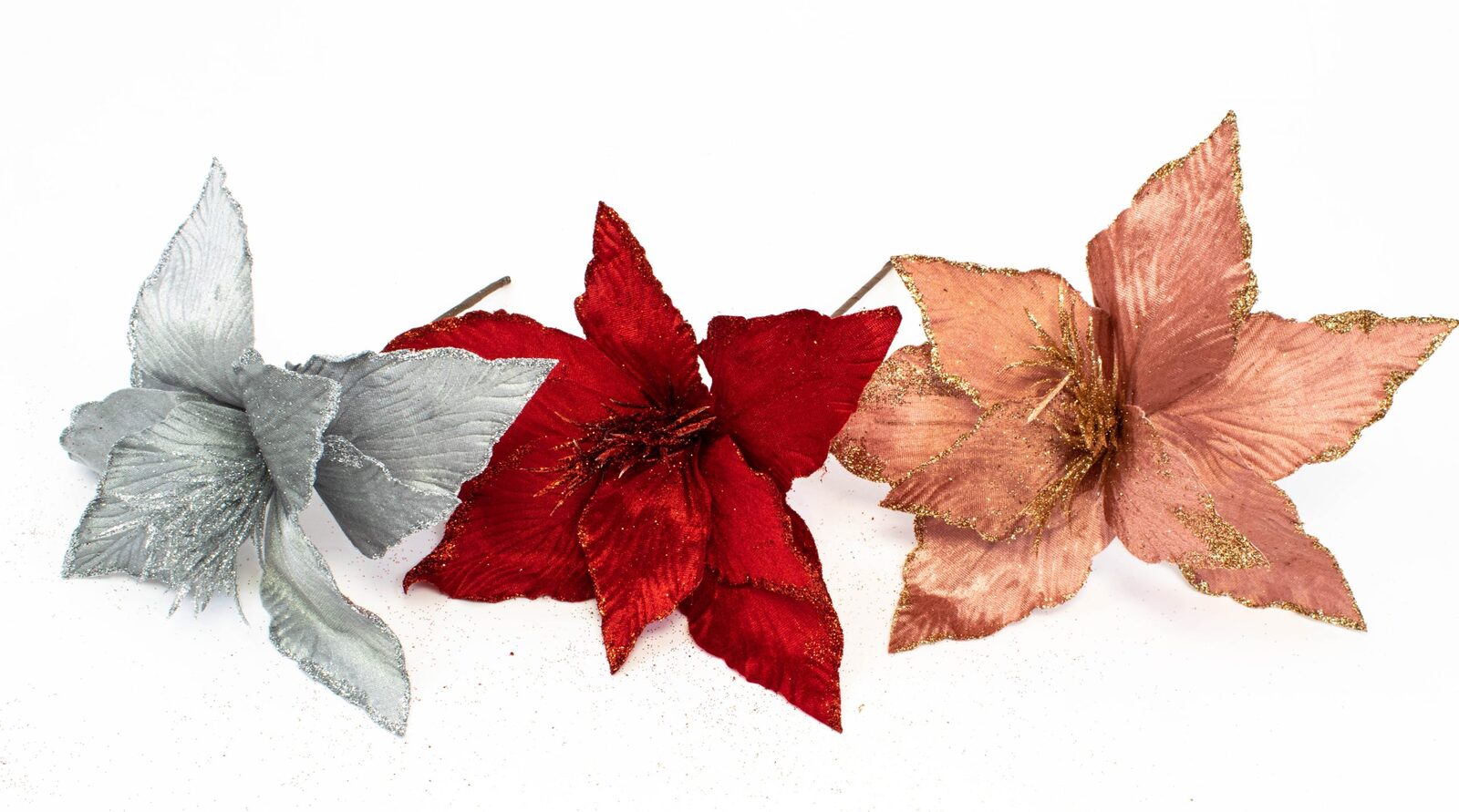 floarea-craciunului-10set-331-18