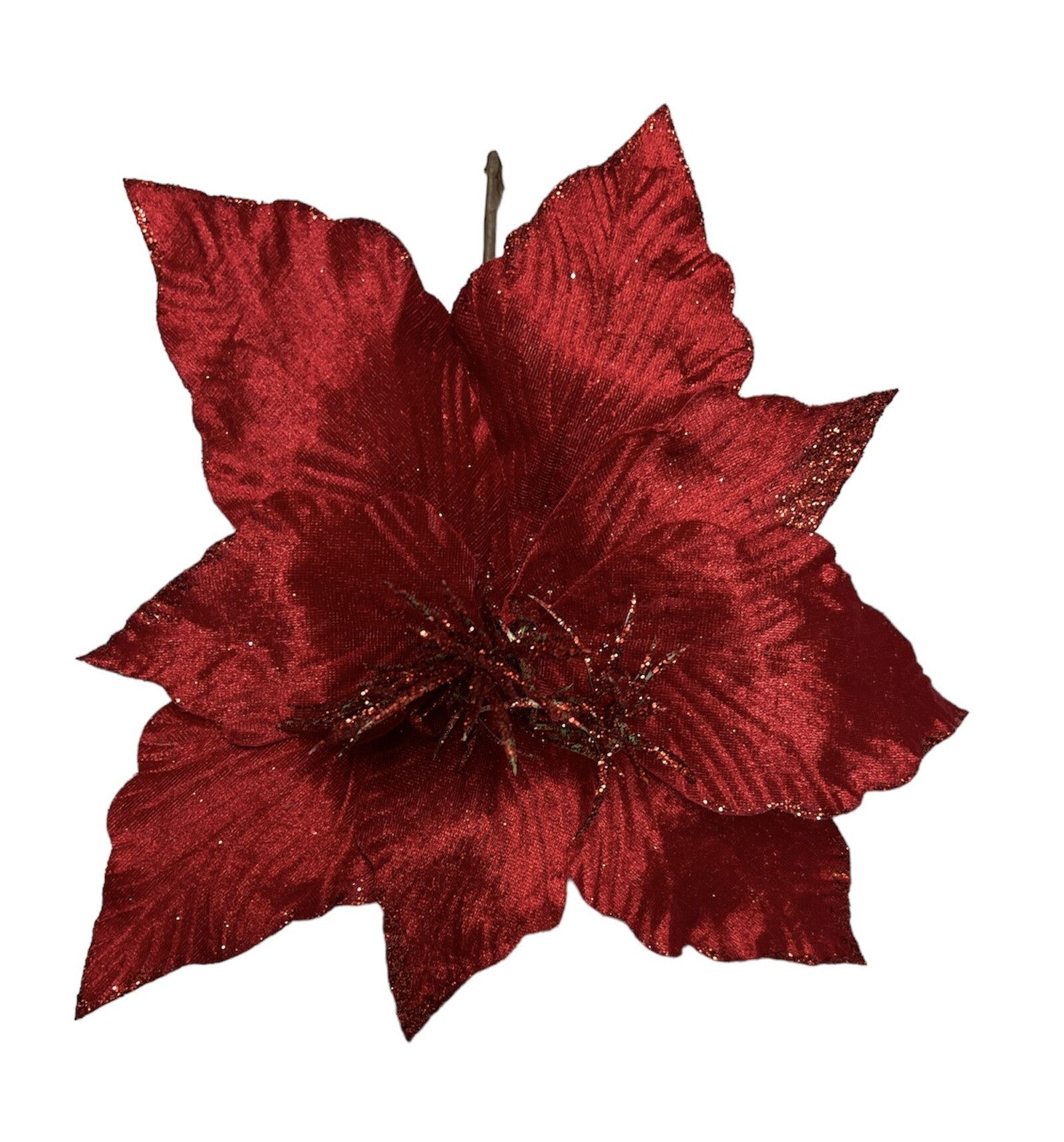 floarea-craciunului-10set-331-18