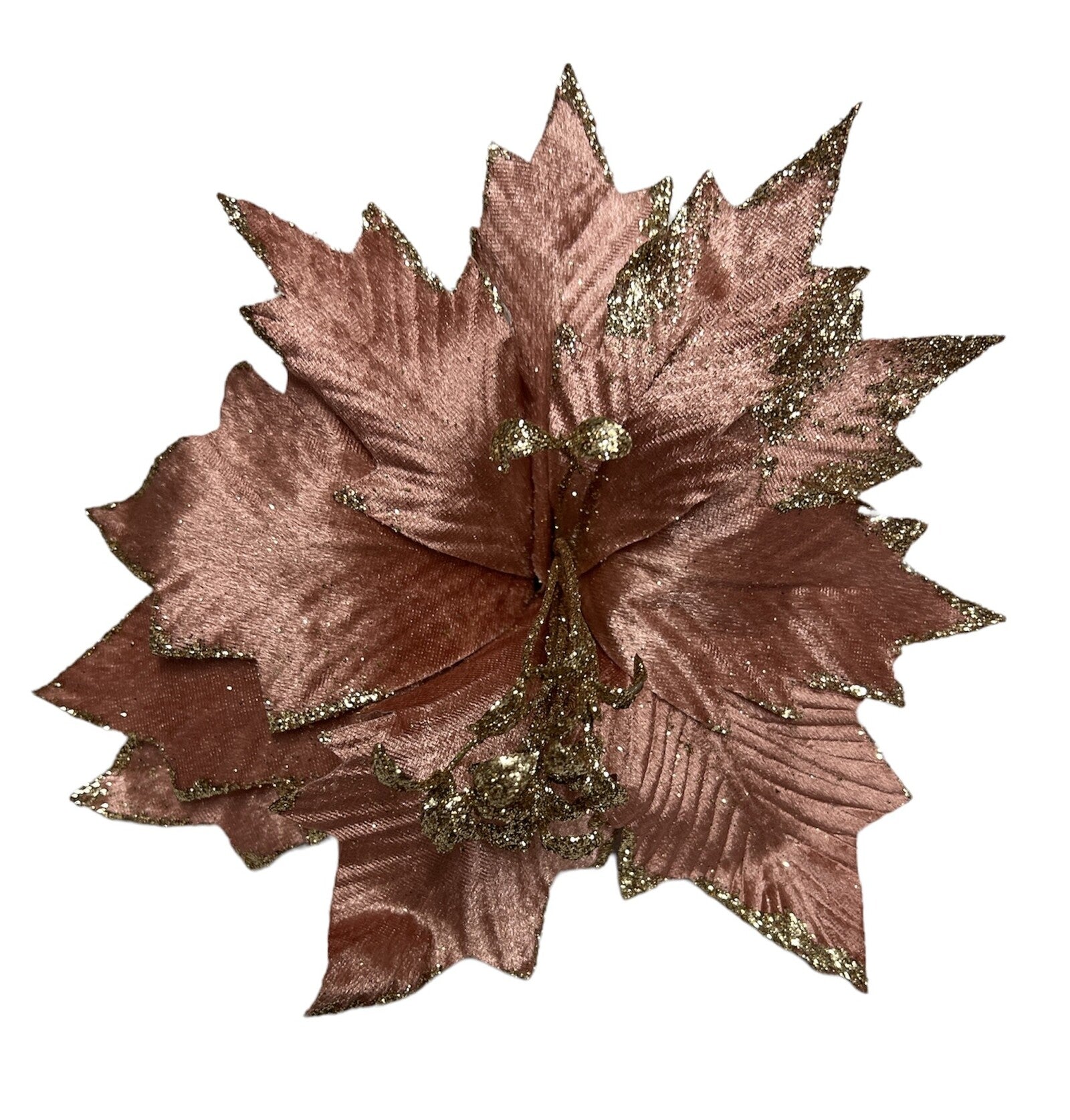 floarea-craciunului-10set-331-22