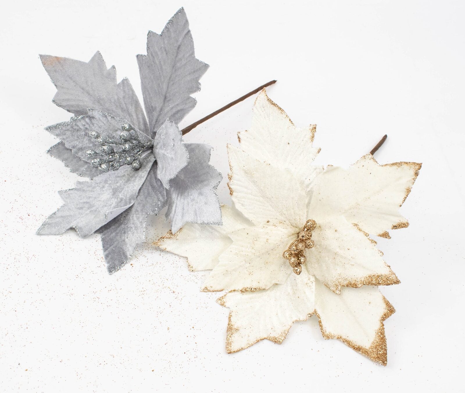 floarea-craciunului-10set-331-24