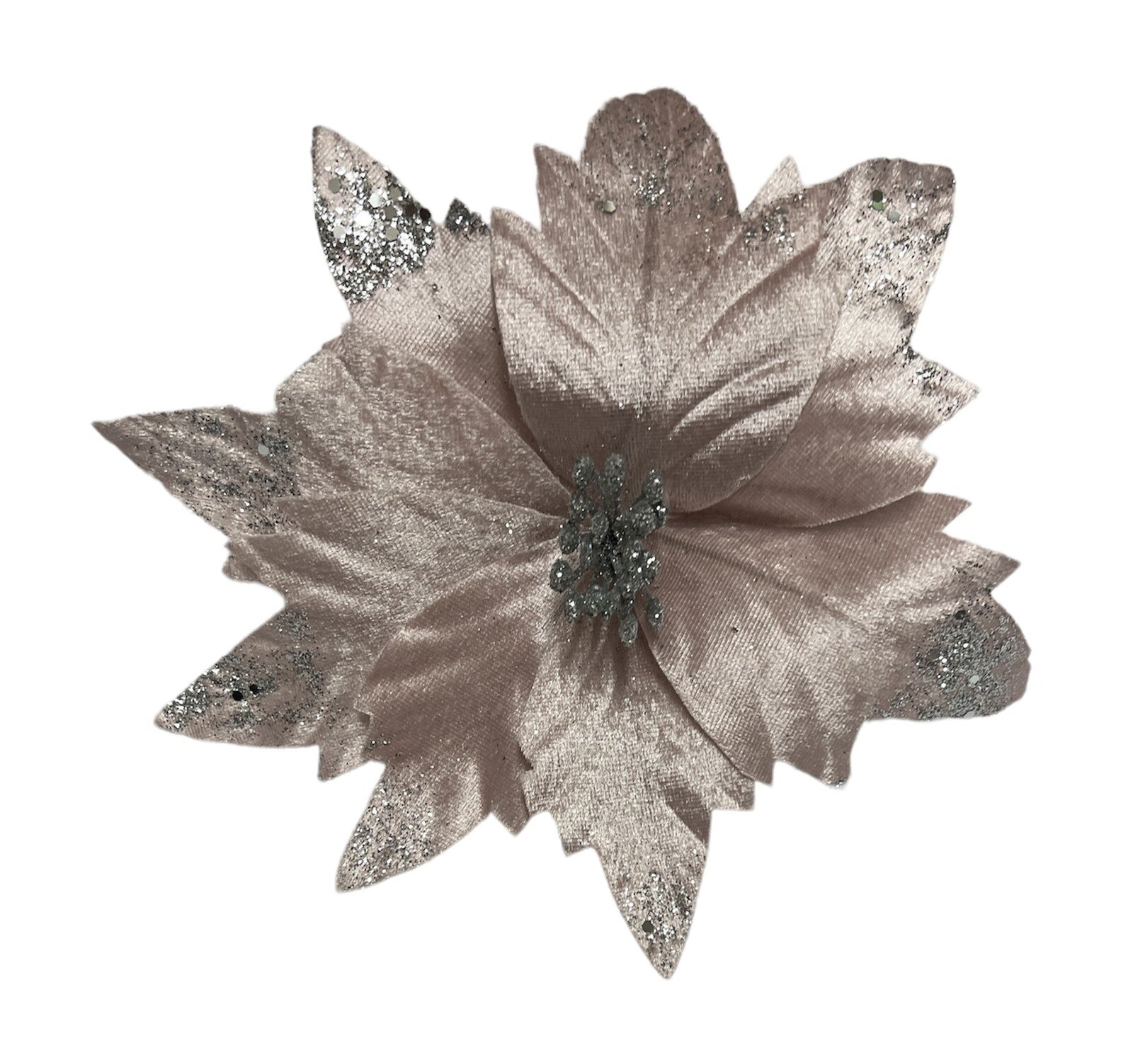 floarea-craciunului-10set-331-19