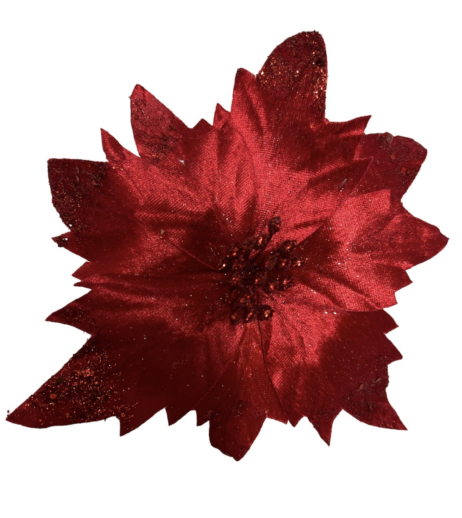 floarea-craciunului-10set-331-19