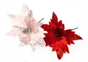 floarea-craciunului-10set-331-19