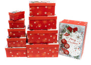 cutie-carton-craciun-10set-globuri03