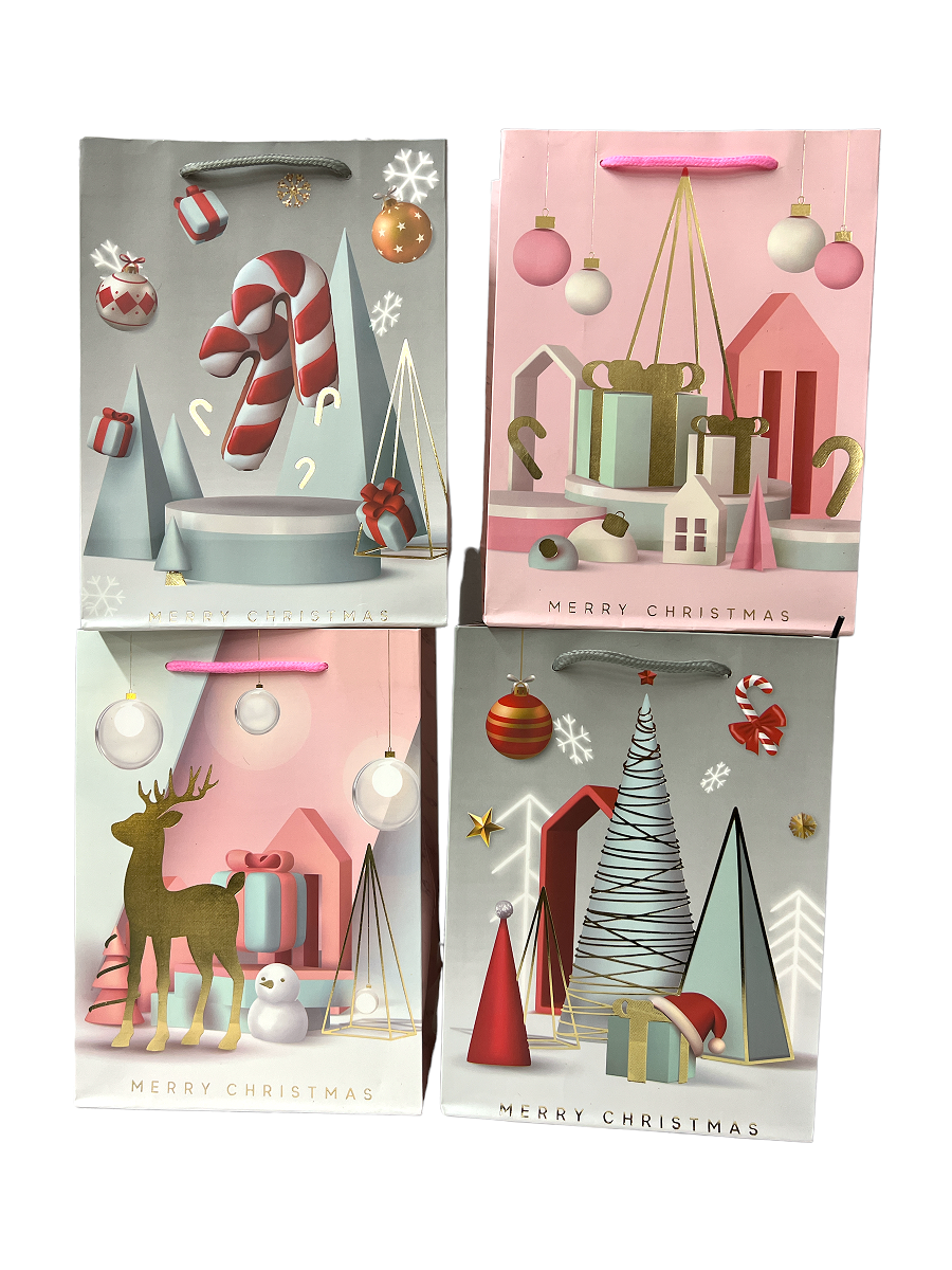 pungi-cadou-ren-acadea-craciun-18x23x8