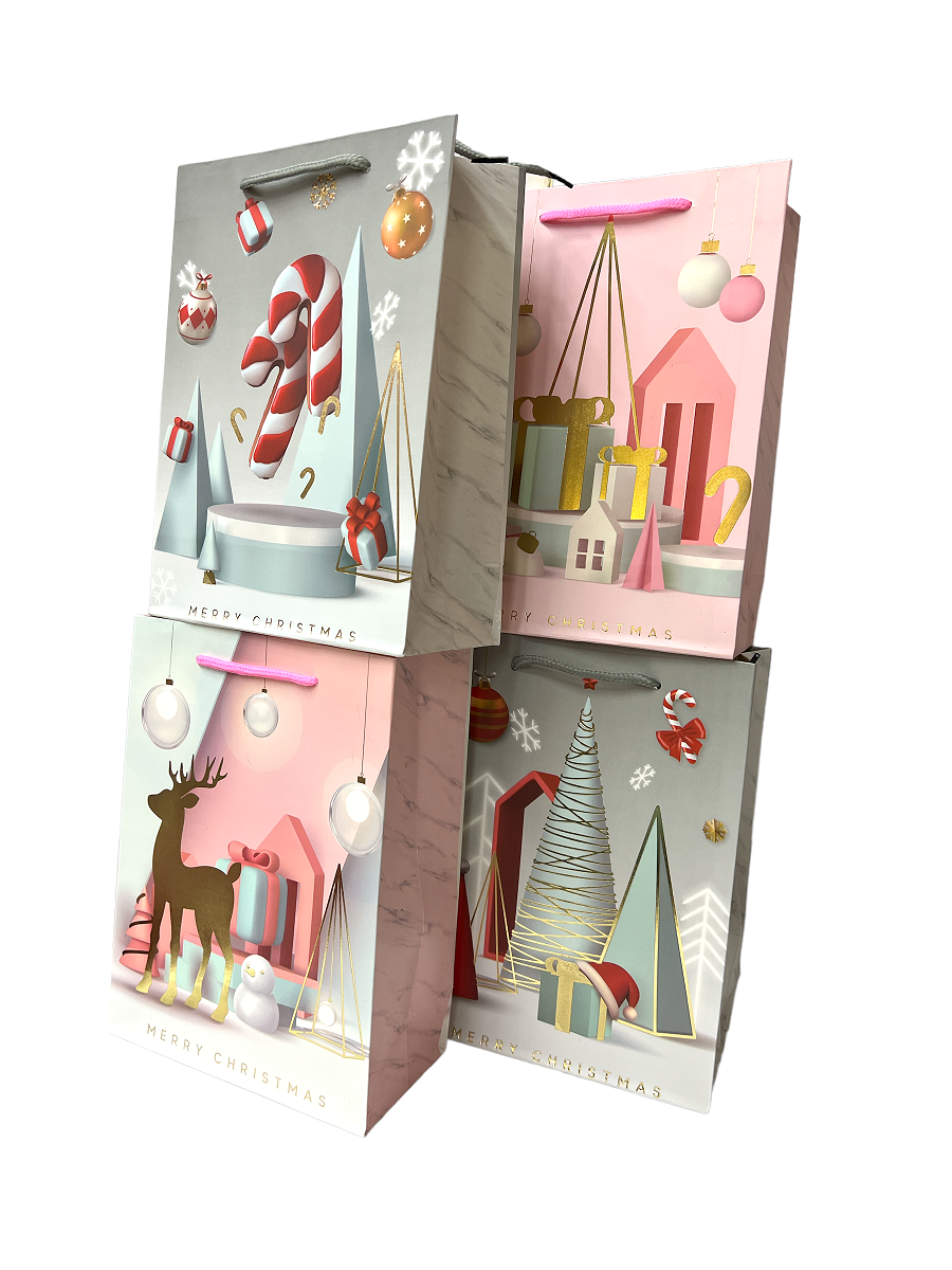 pungi-cadou-ren-acadea-craciun-18x23x8