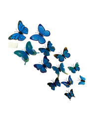 fluturi-plastic-magnet-12set-bleo