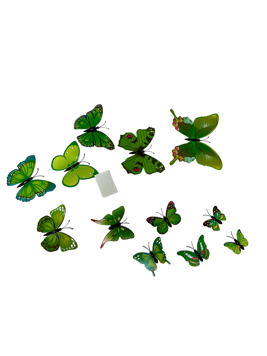 fluturi-plastic-magnet-12set-verde