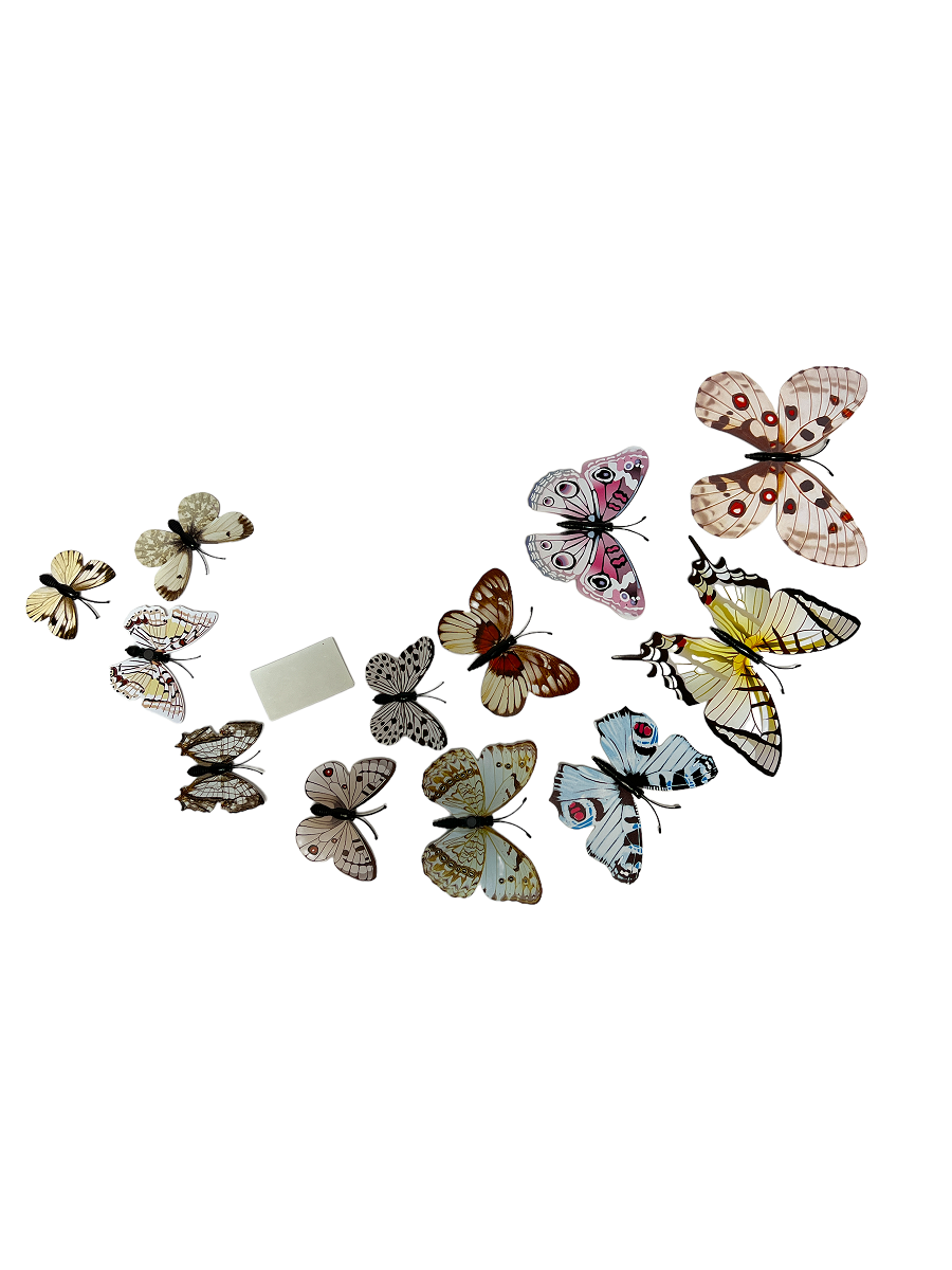 fluturi-plastic-magnet-12set-crem-bej