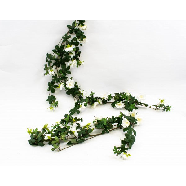 ghirlanda-macese-alb