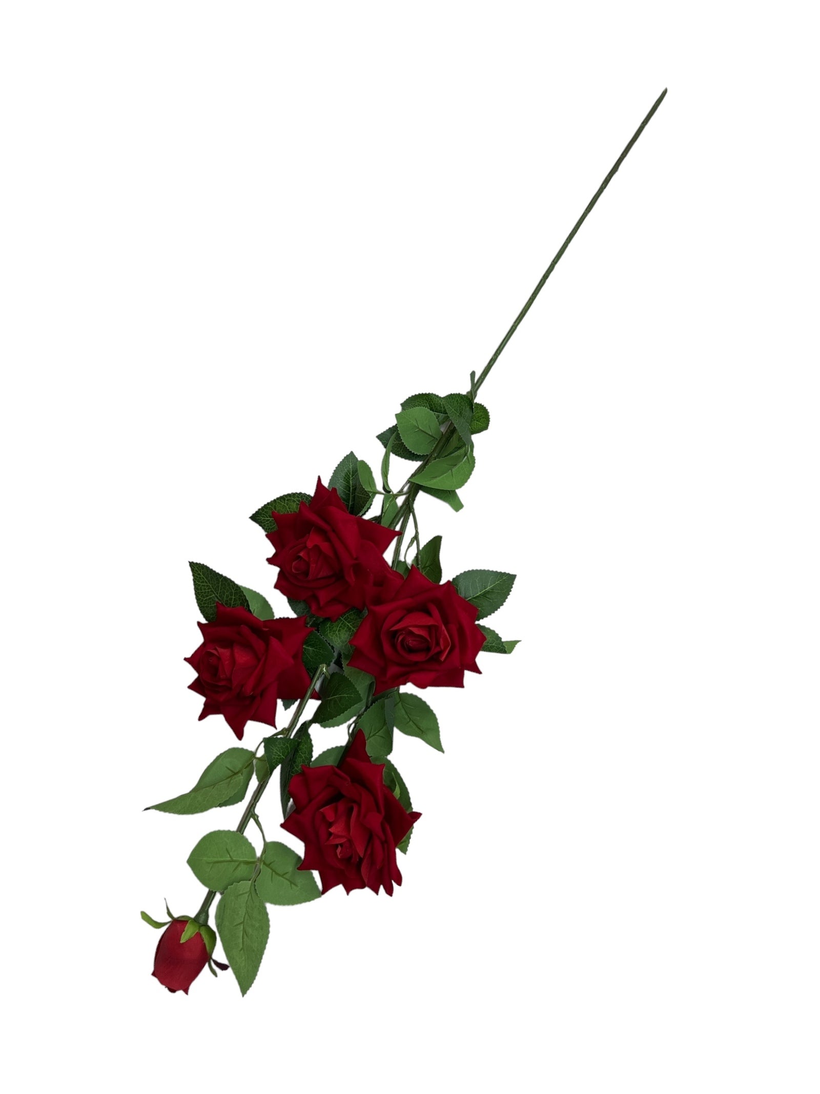 Photoroom_20240523_151743