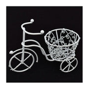 bicicleta-sarma-cos-mare