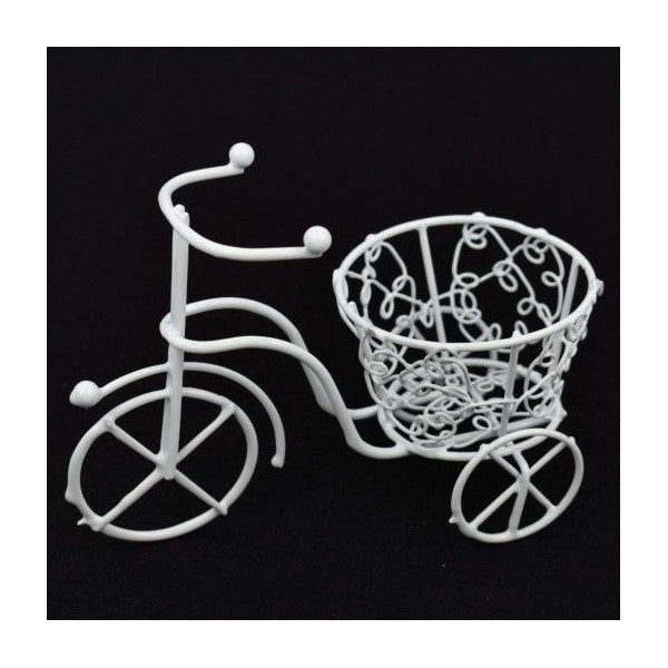 bicicleta-sarma-cos-mare