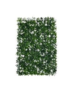 Photoroom_20250609_133055 Mică