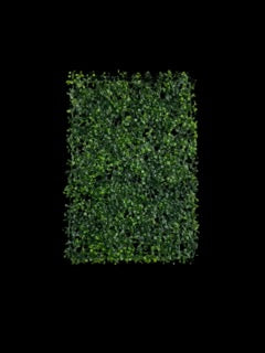 Photoroom_20250609_133337 Mică