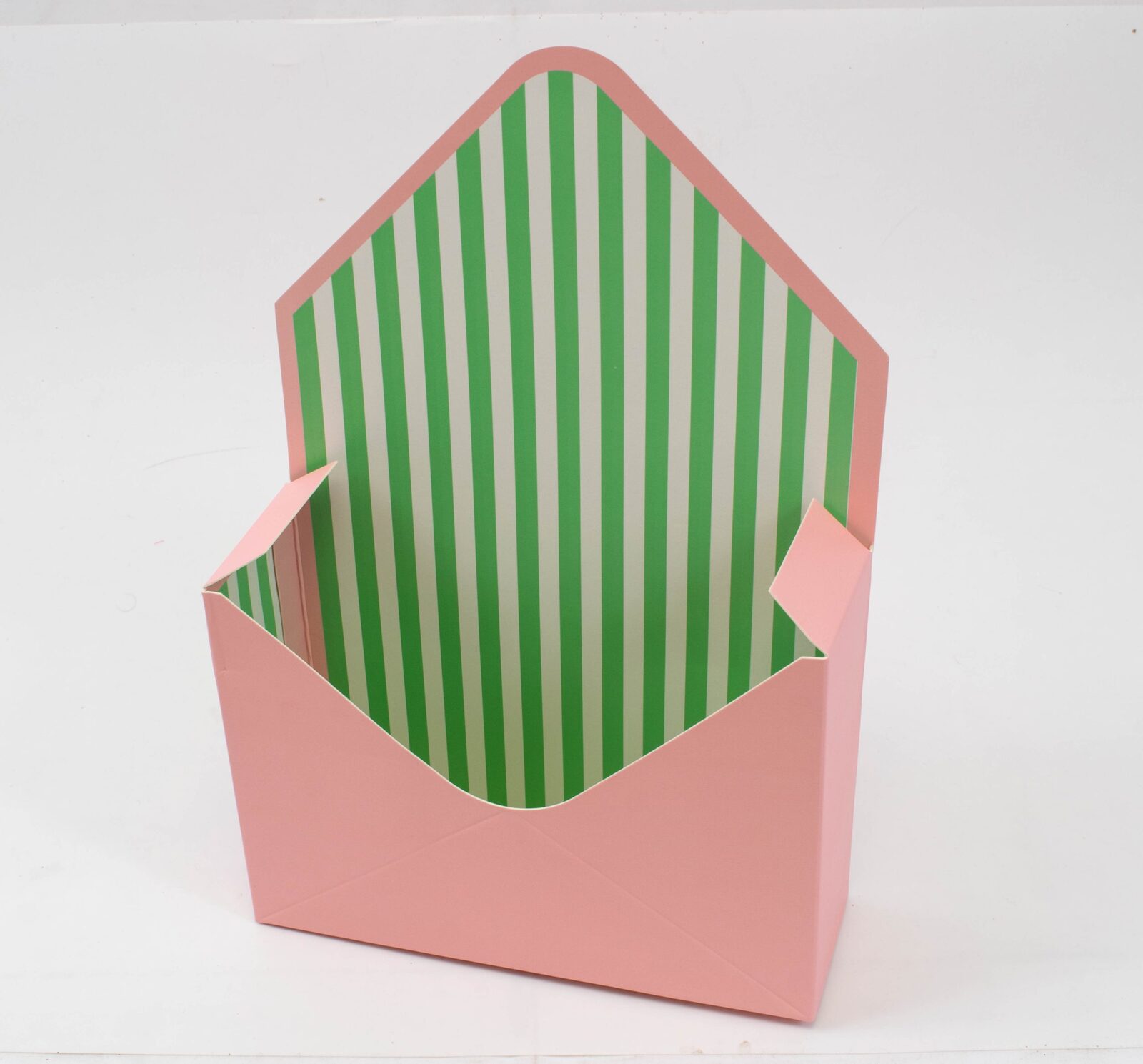 cutie-carton-plic-10set-dungi