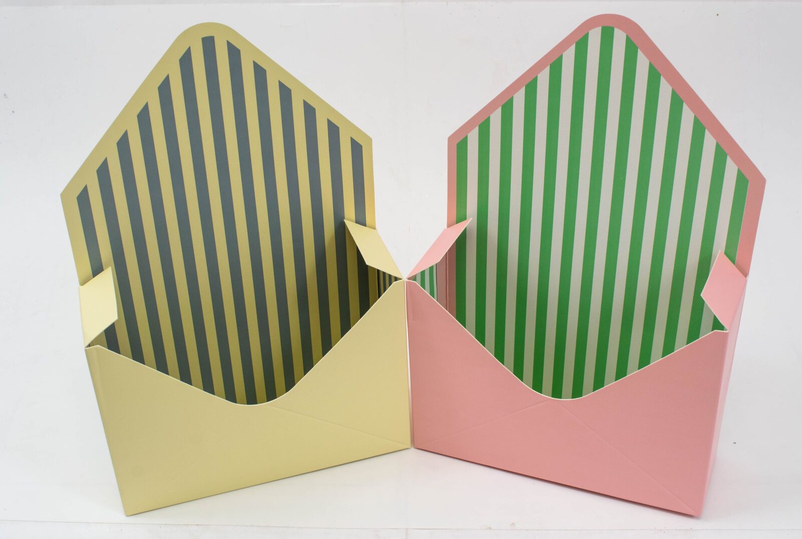 cutie-carton-plic-10set-dungi