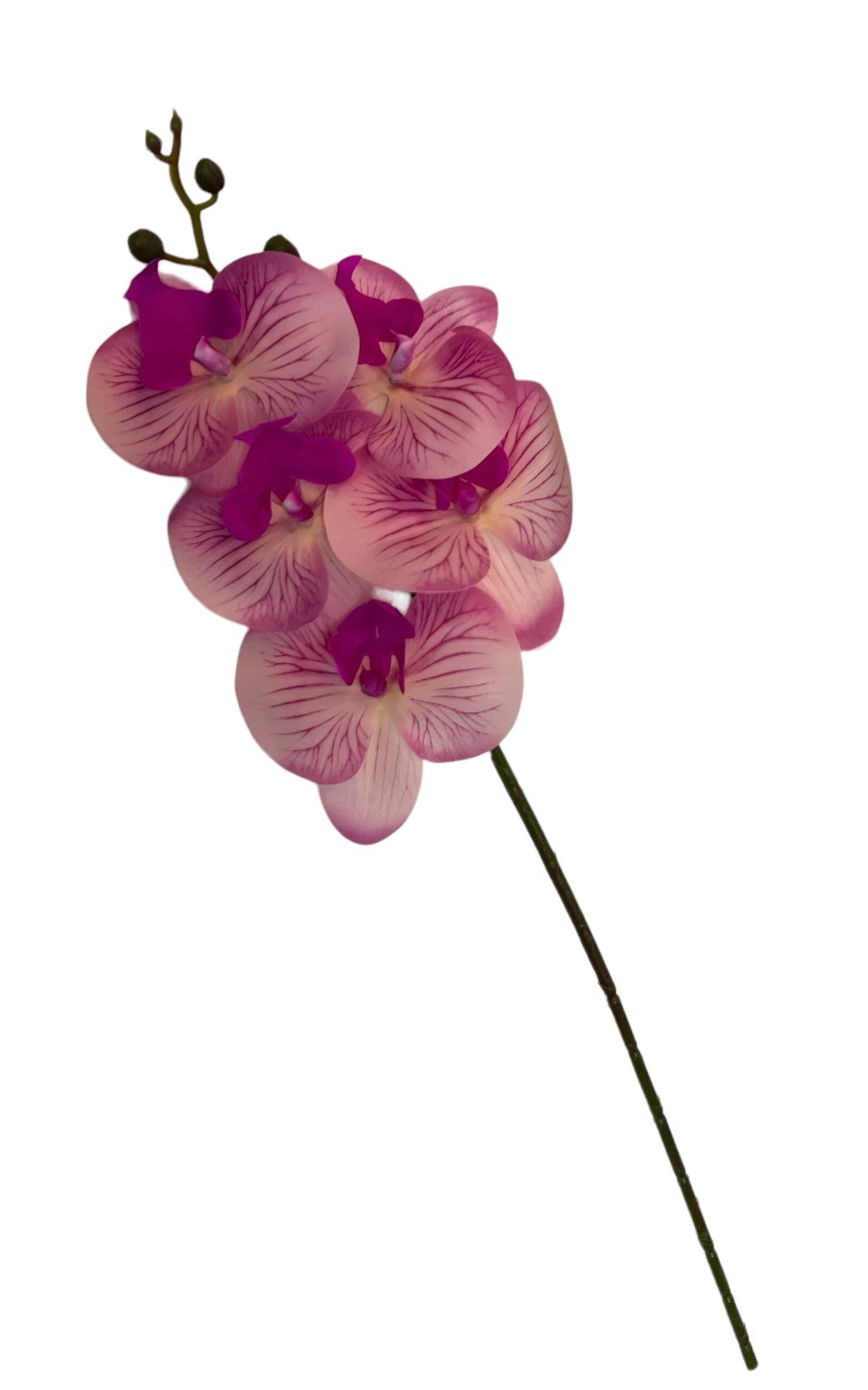 orhidee-artificiala-5-flori-59