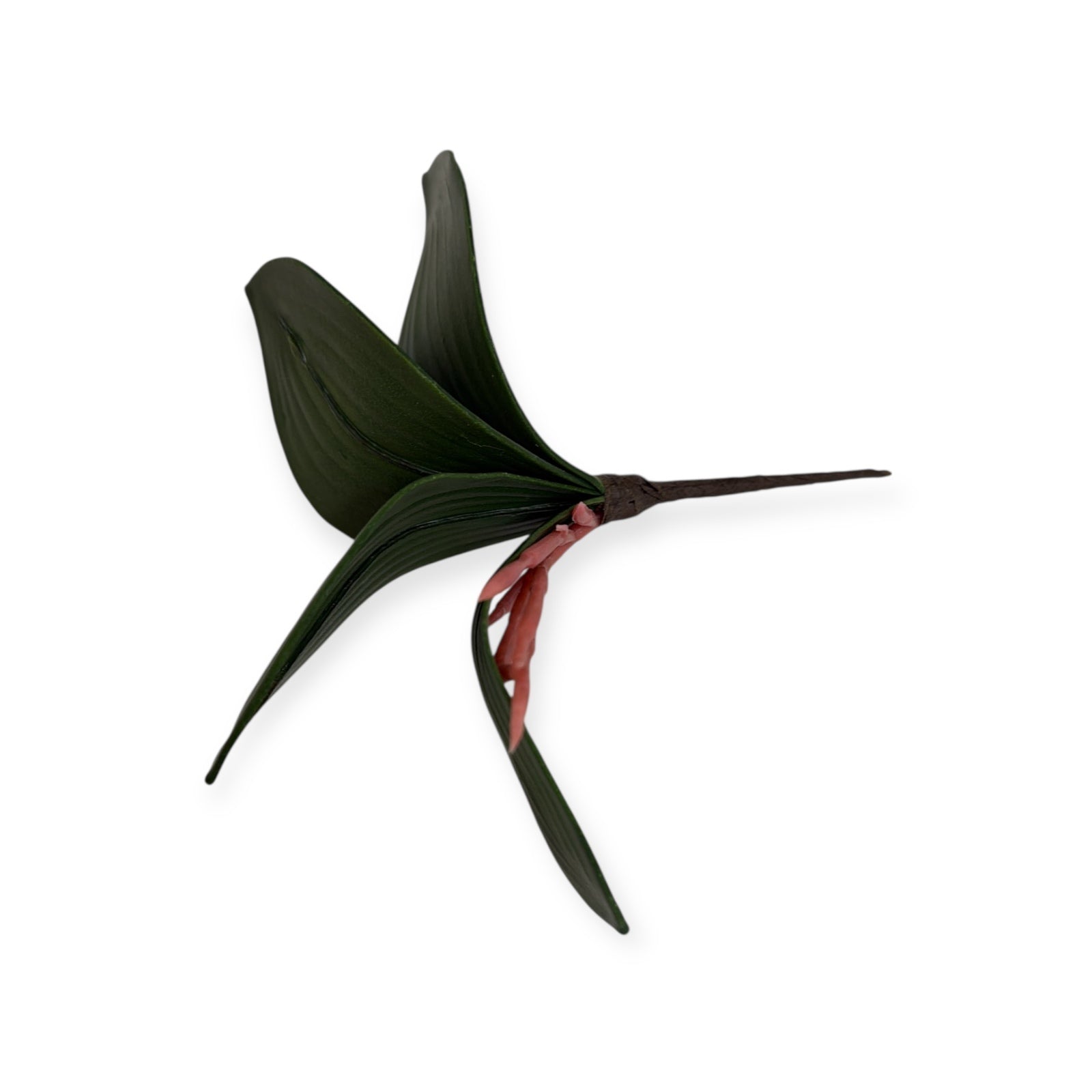 Photoroom_20251211_151354