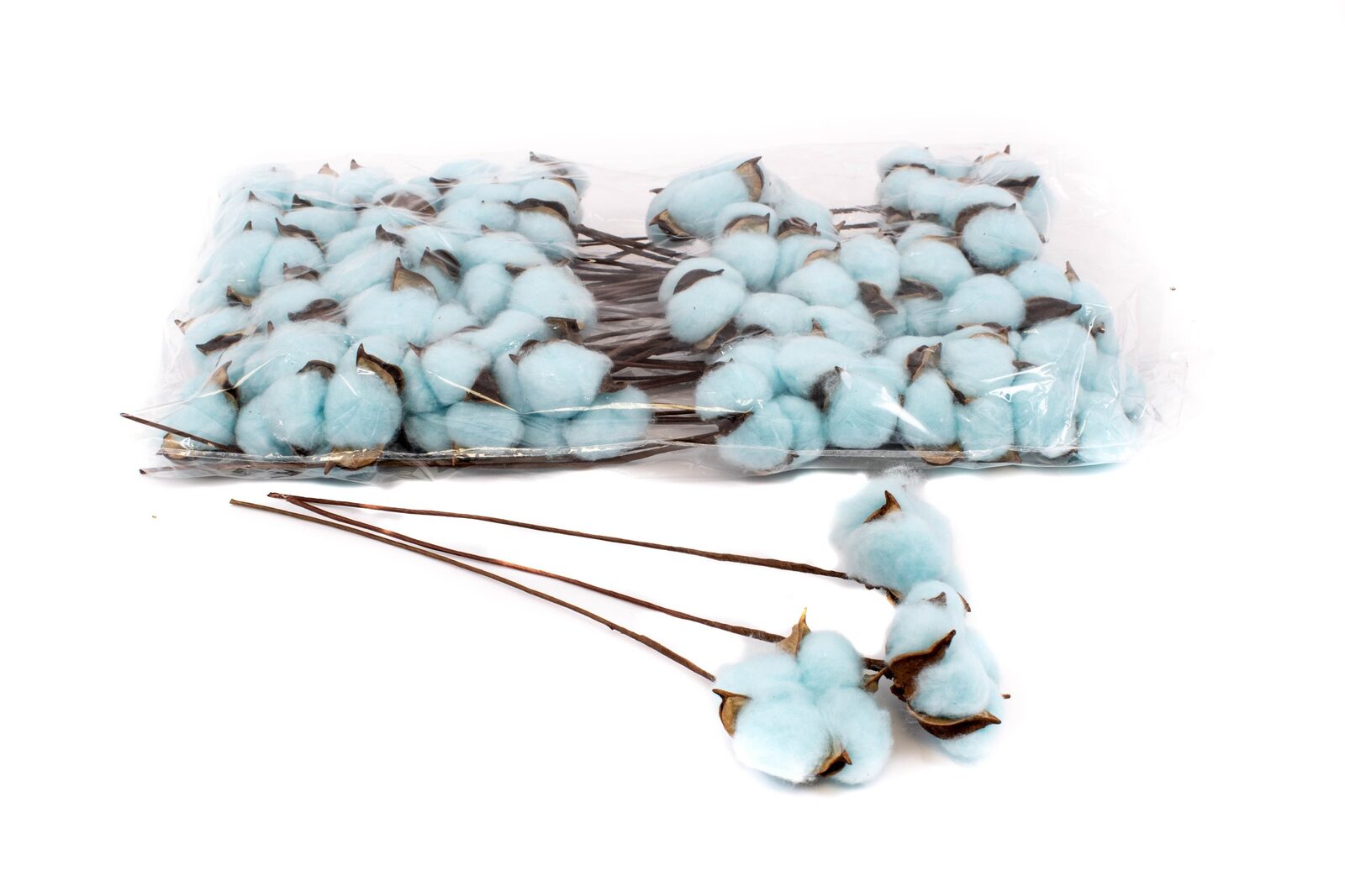 flori-bumbac-50set-bleo-sarma-lunga