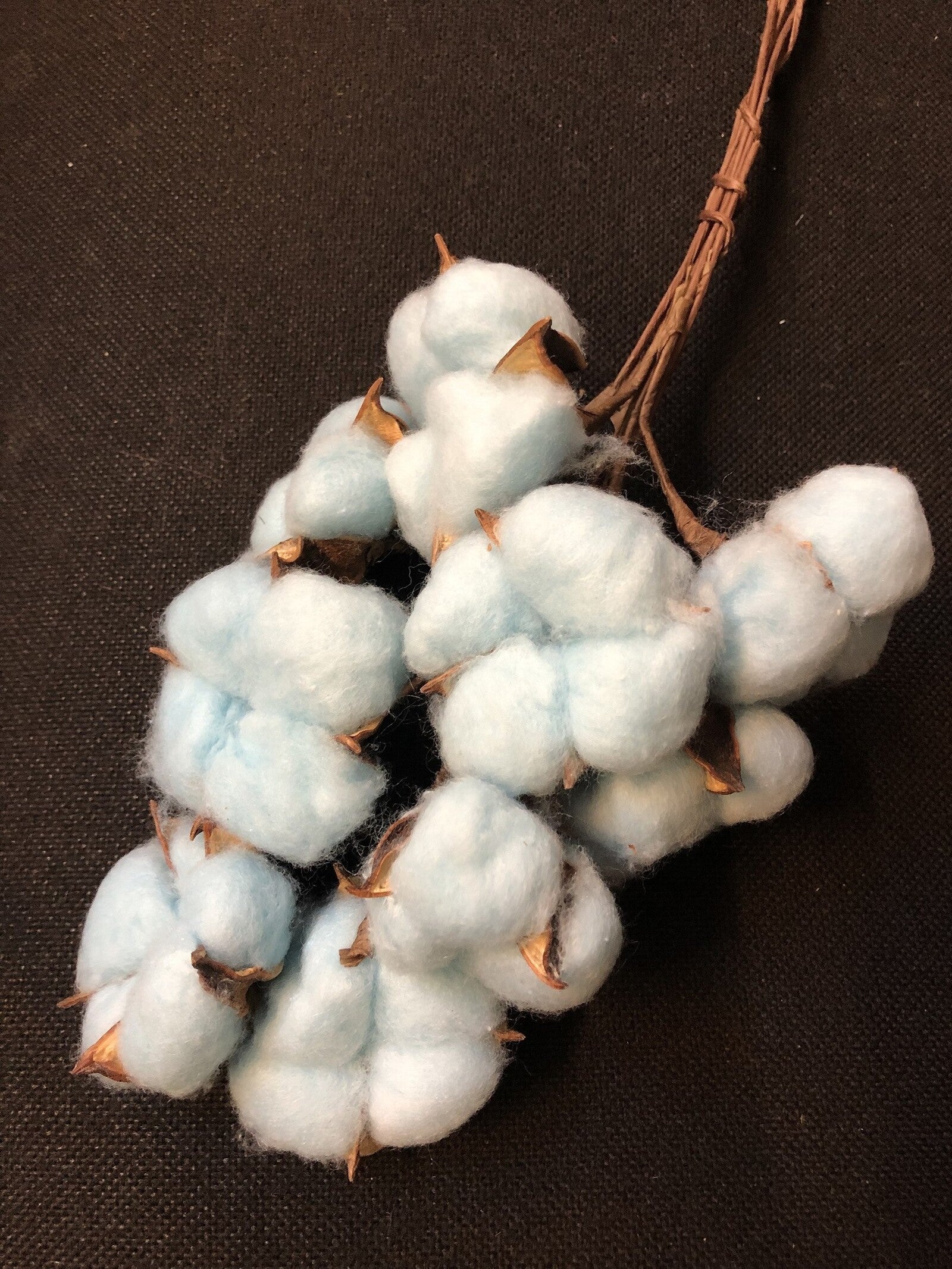 flori-bumbac-50set-bleo-sarma-lunga