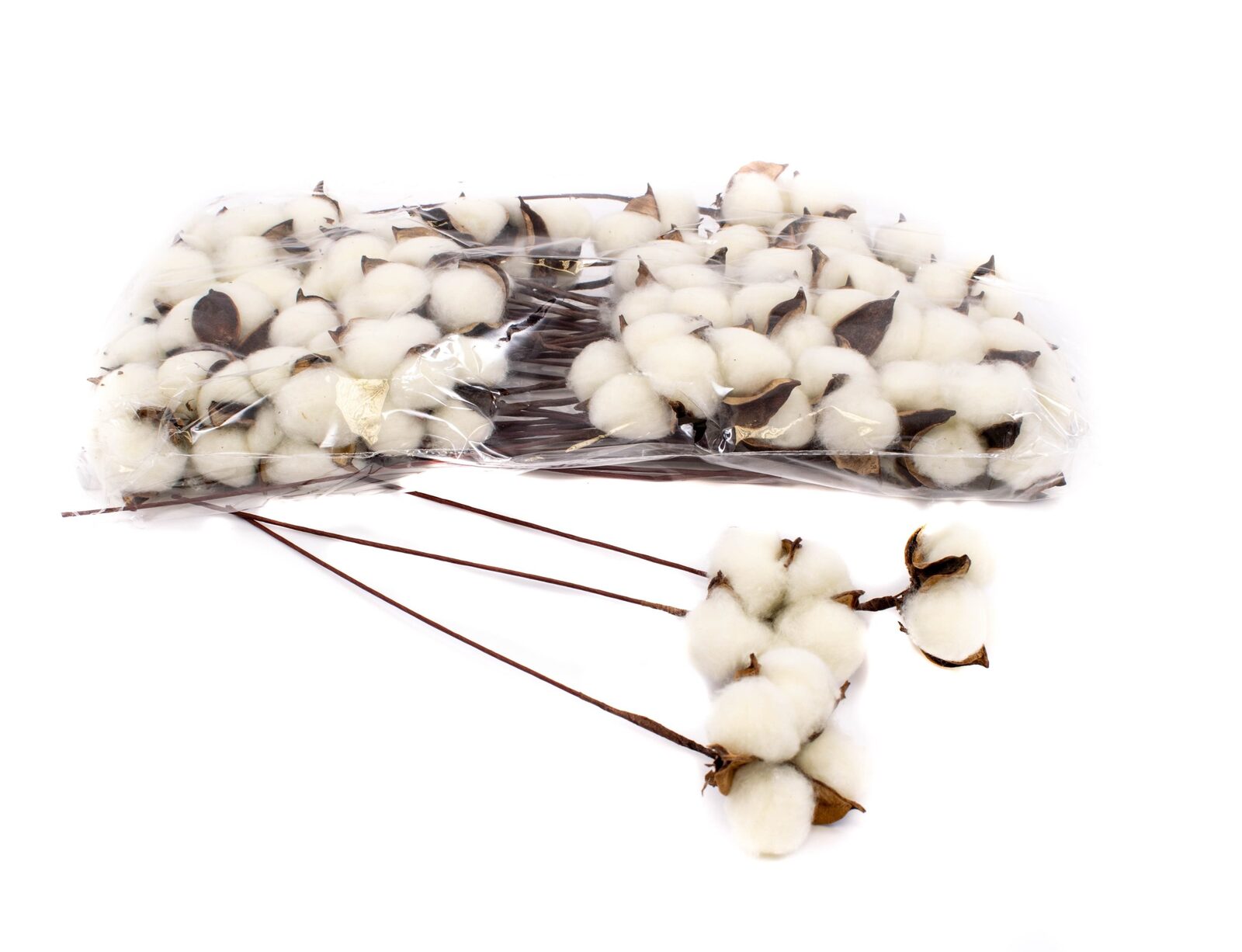 flori-bumbac-50set-crem-sarma-lunga