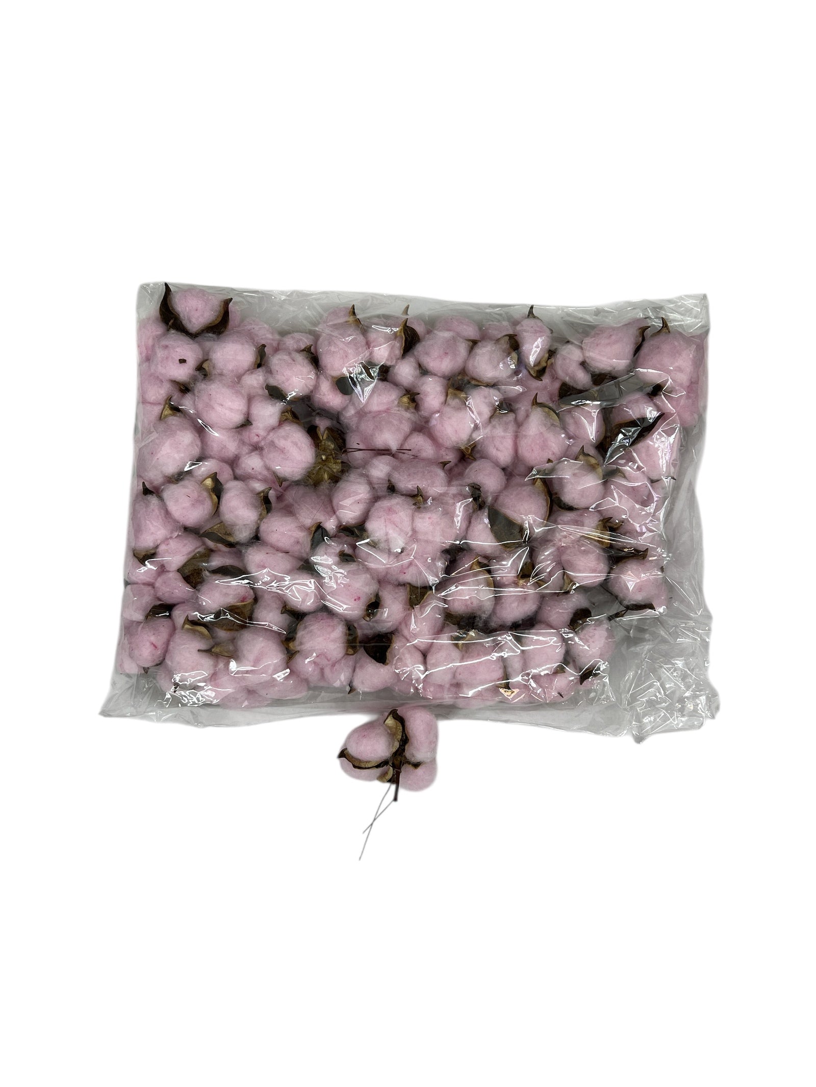 Photoroom_20250612_161145 2