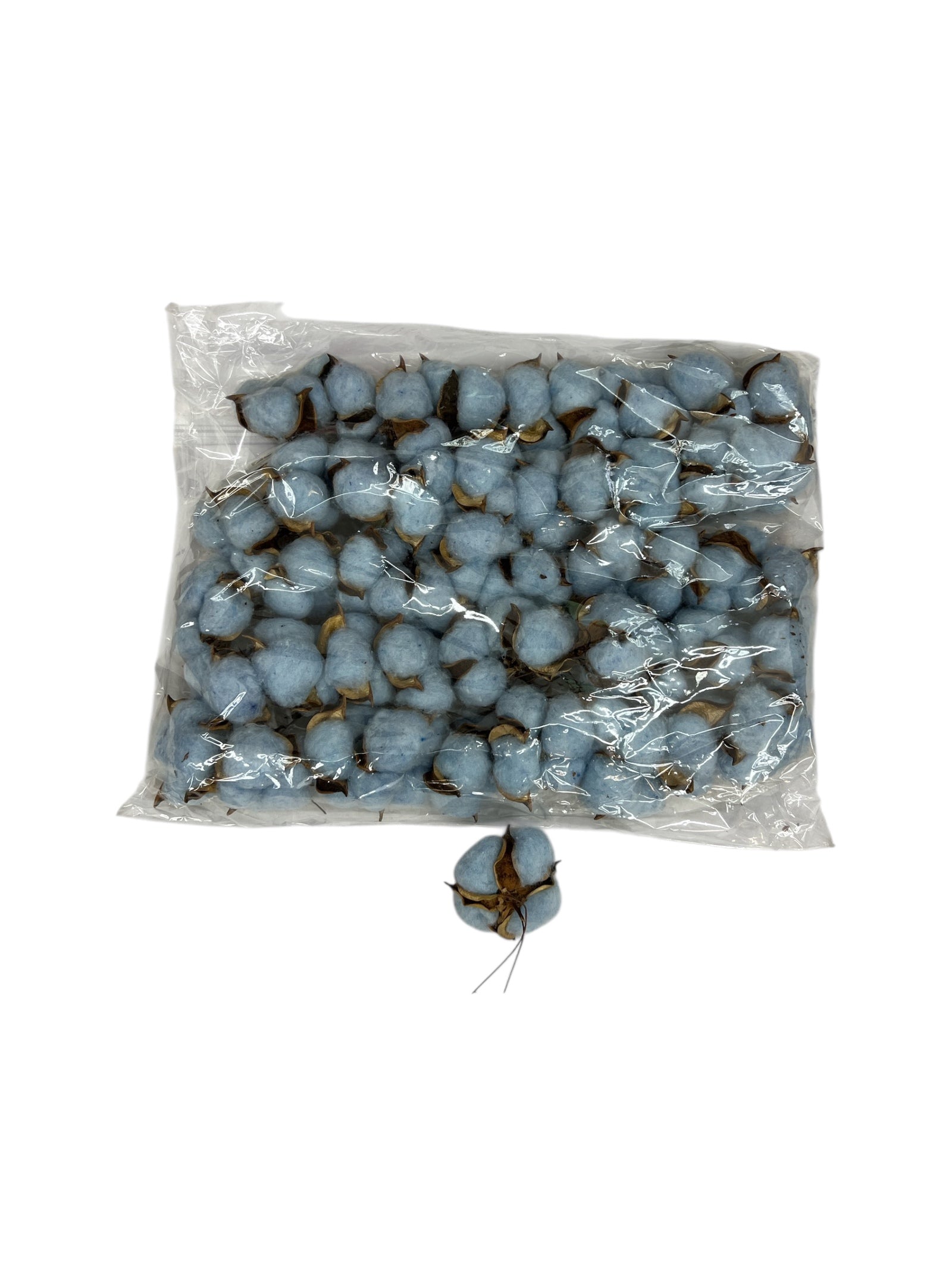 Photoroom_20250612_161246 2