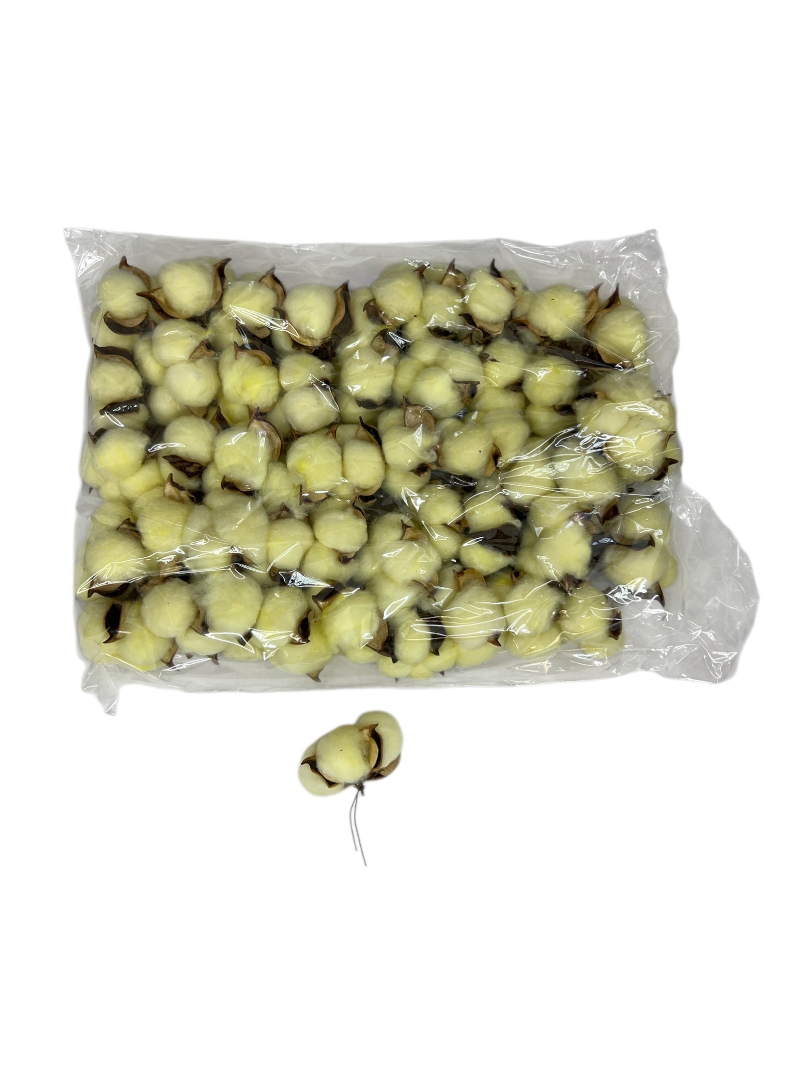 Photoroom_20250612_161035 2