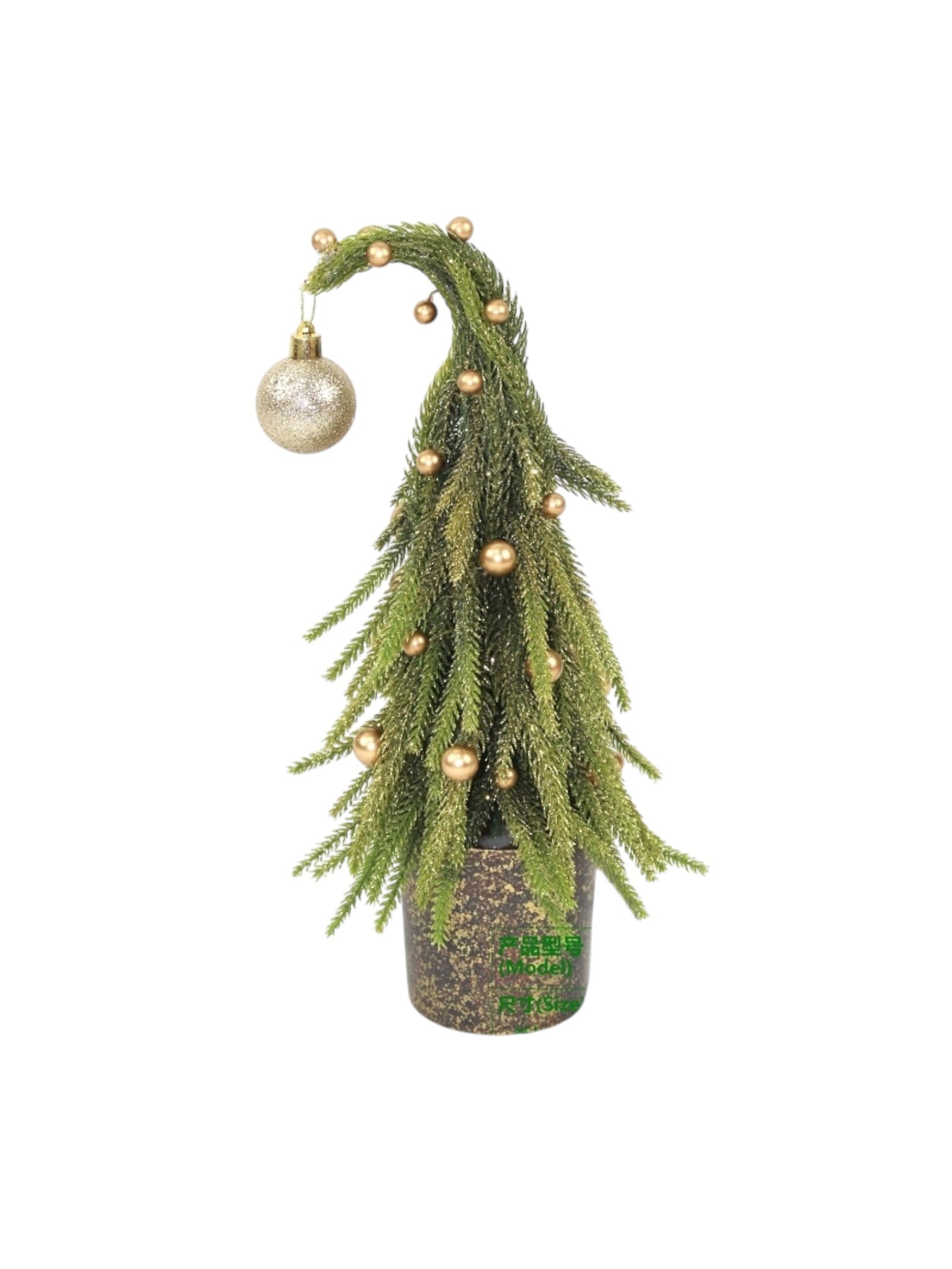 Photoroom_005_20251009_134644