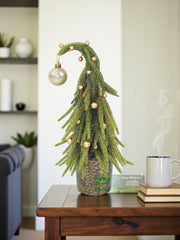 Photoroom_20251009_135112