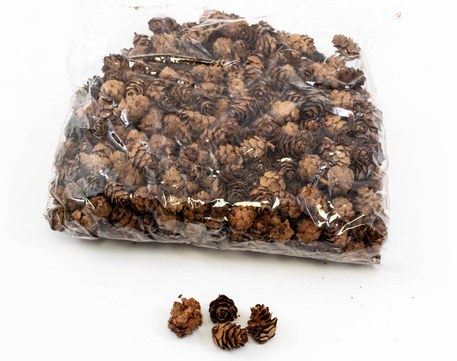 conuri-de-brad-mici-2-3cm