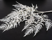 flori-artificiale-creanga-feriga-alb