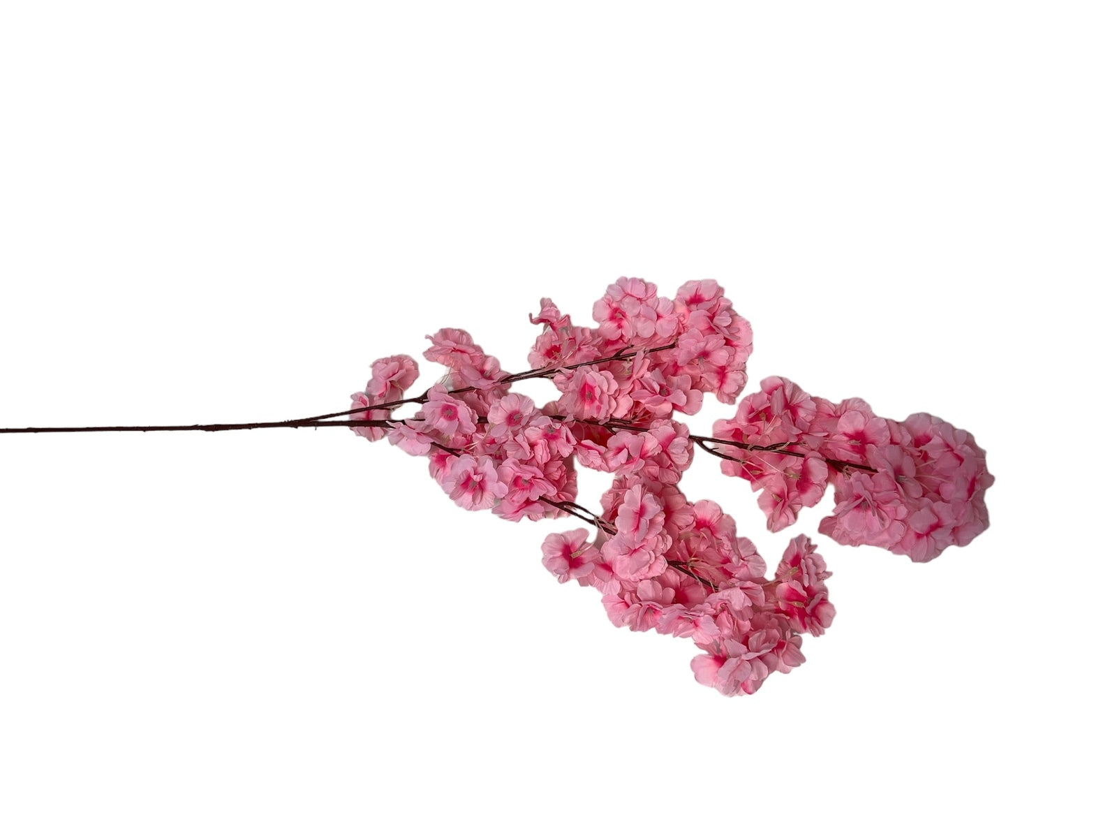 Photoroom_20240816_142842