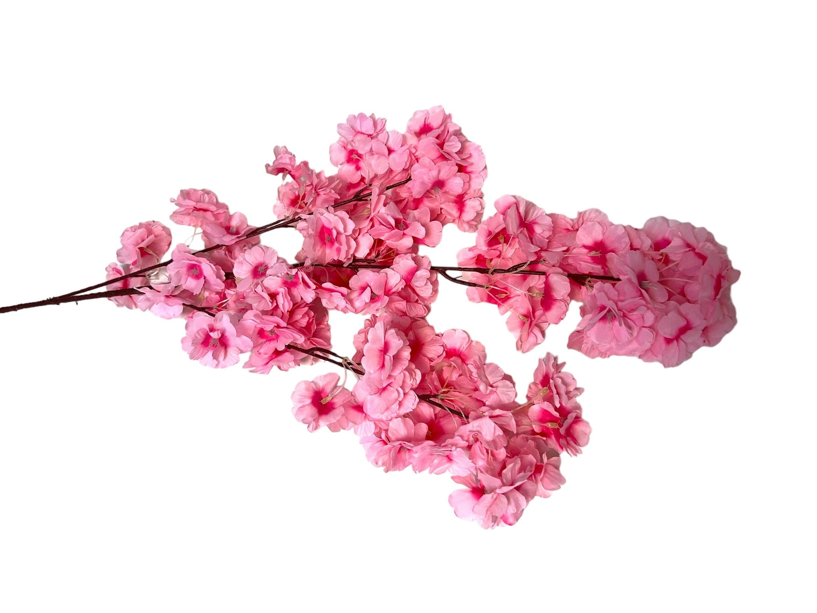 Photoroom_20240816_142940