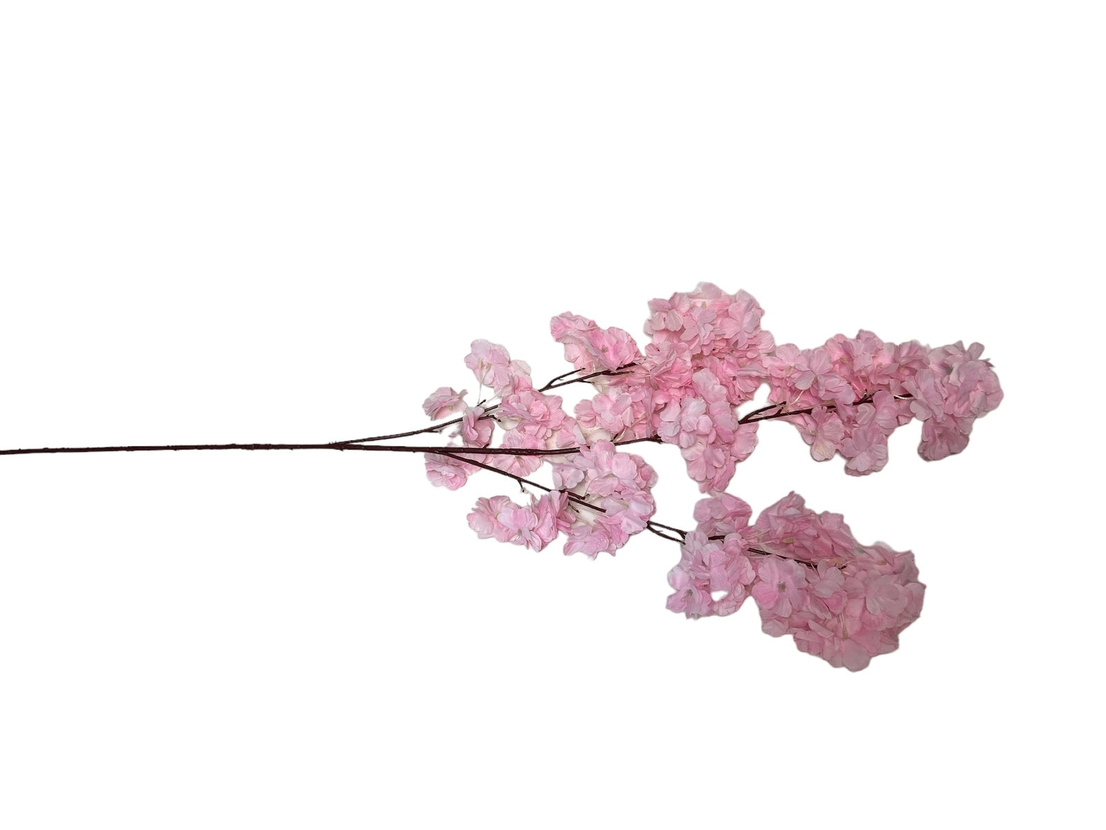 Photoroom_20240816_142429