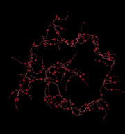 lant-guta-cu-perle-plastic-rosu