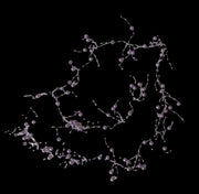 lant-guta-cu-perle-plastic-roz