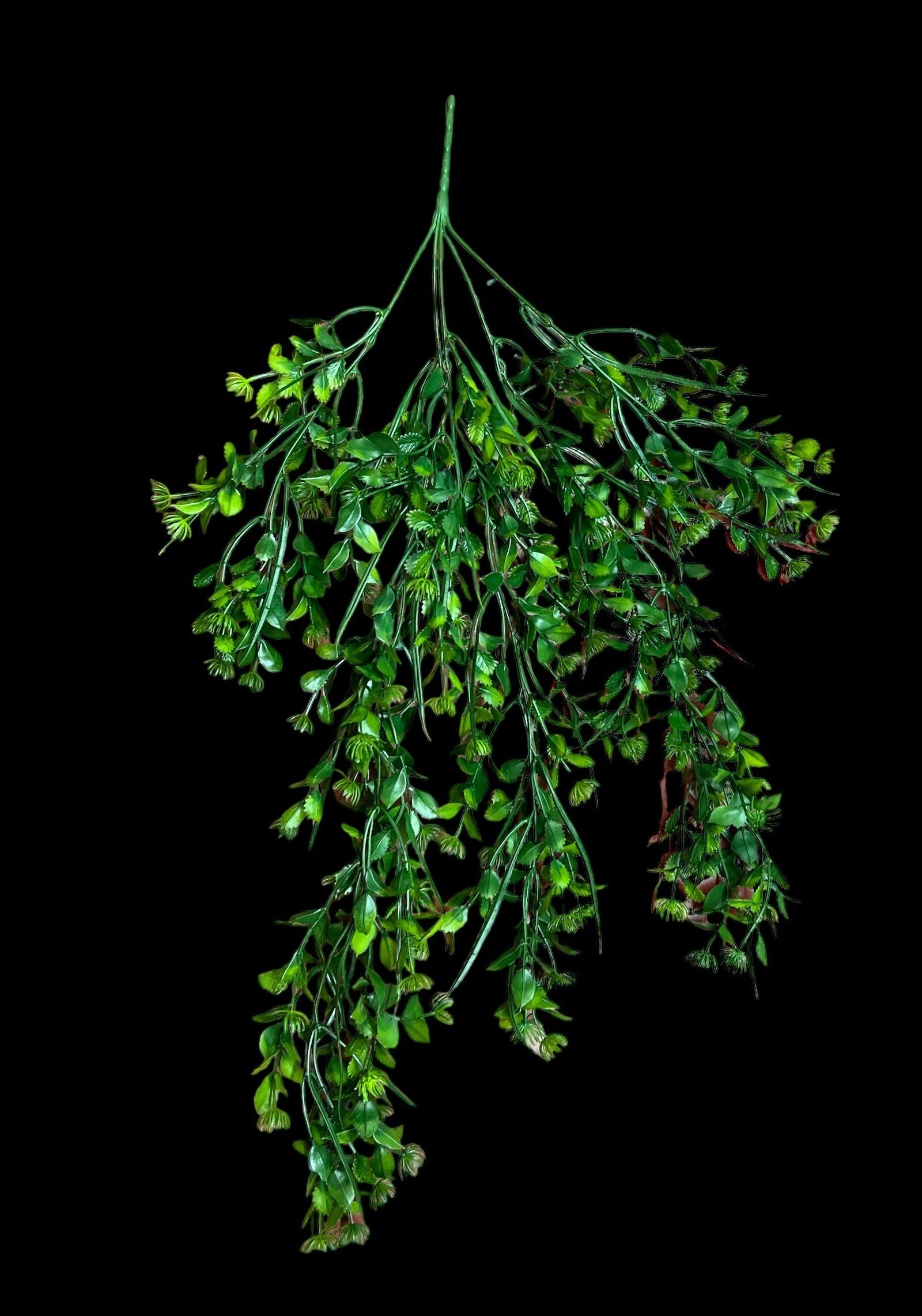 creanga-frunze-decorativa-2set-03