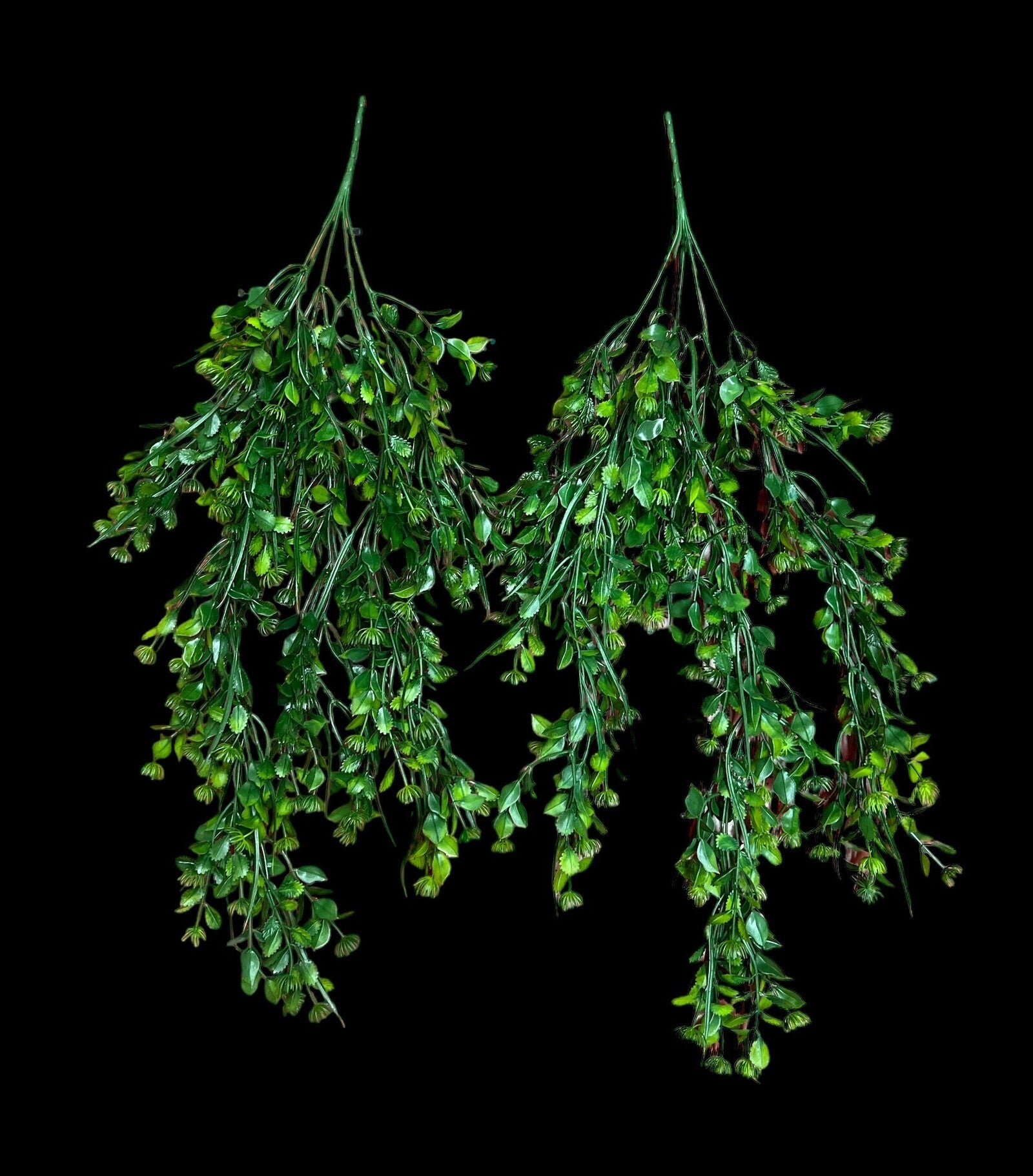 creanga-frunze-decorativa-2set-03