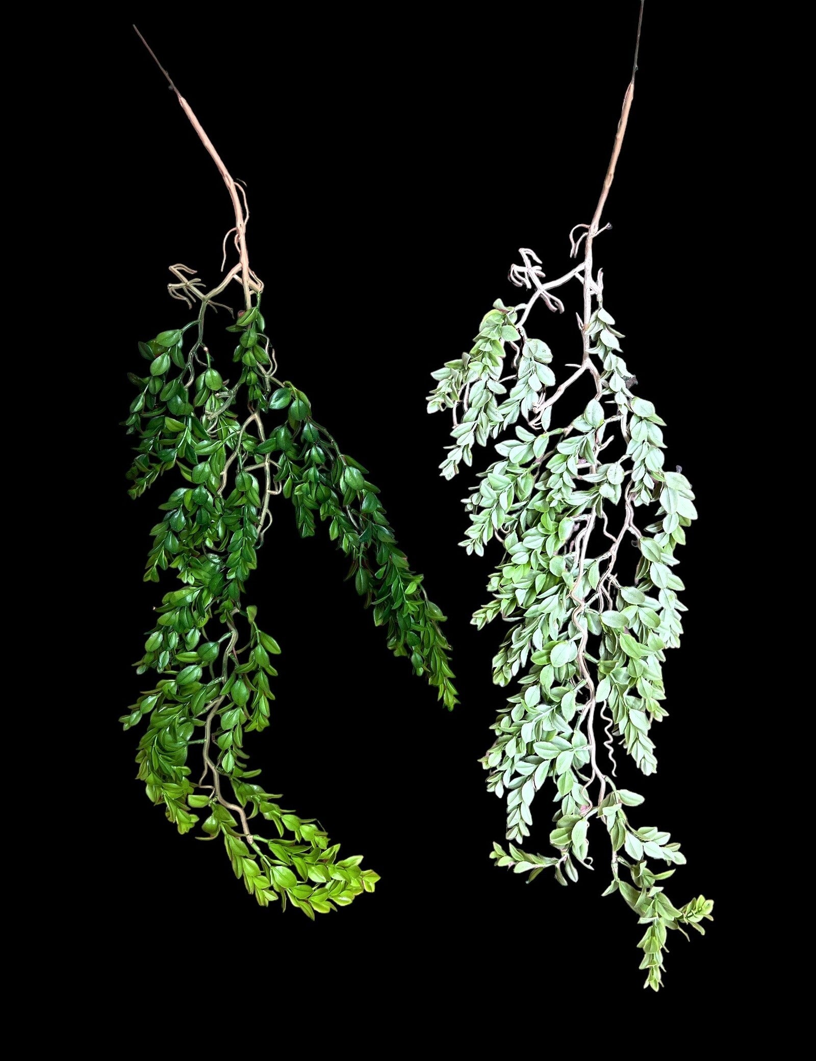 creanga-frunze-decorativa-2set-04