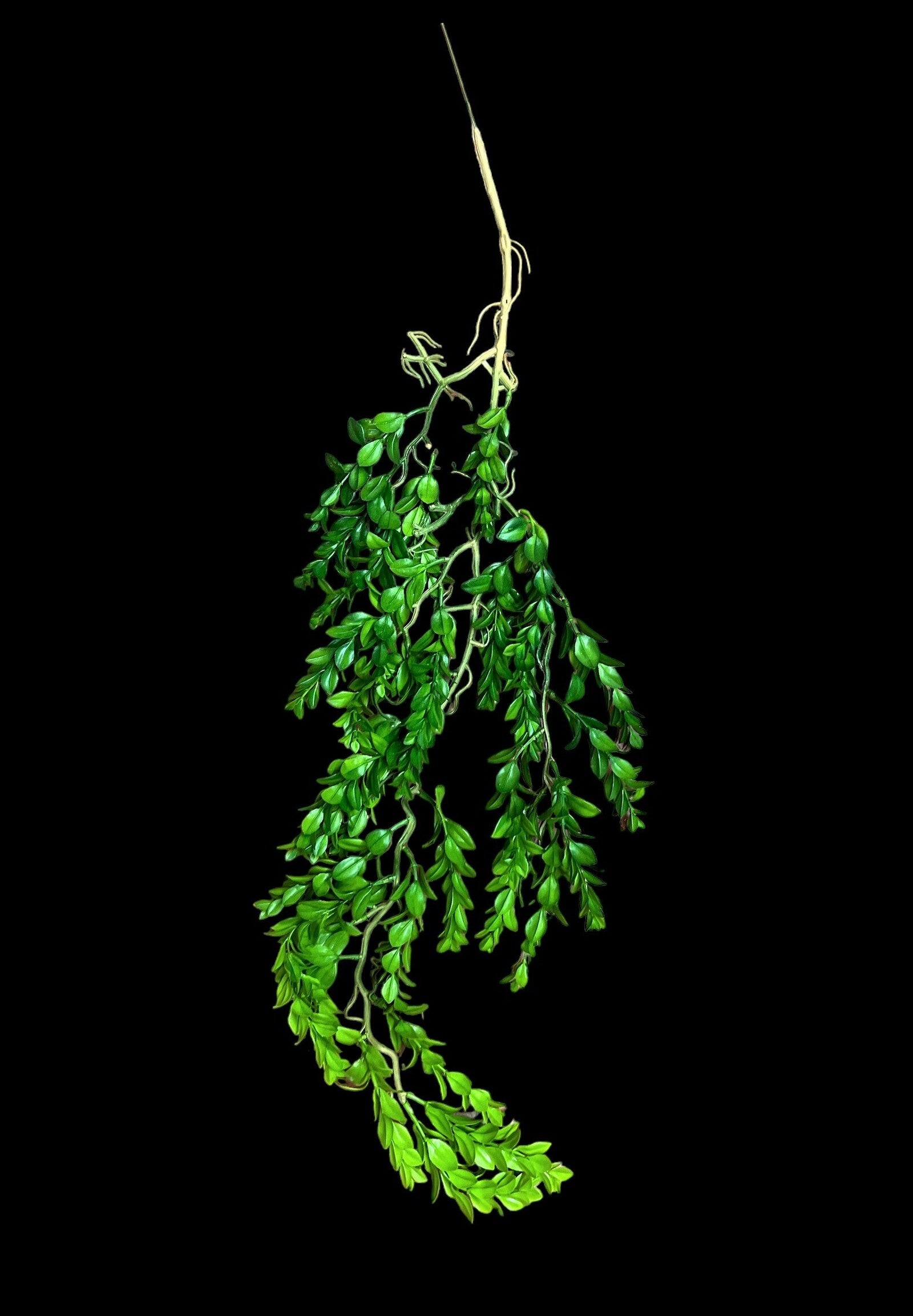 creanga-frunze-decorativa-2set-04