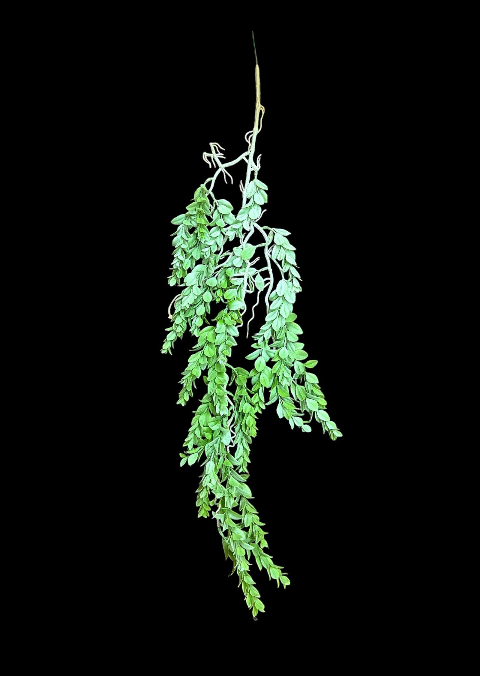 creanga-frunze-decorativa-2set-04