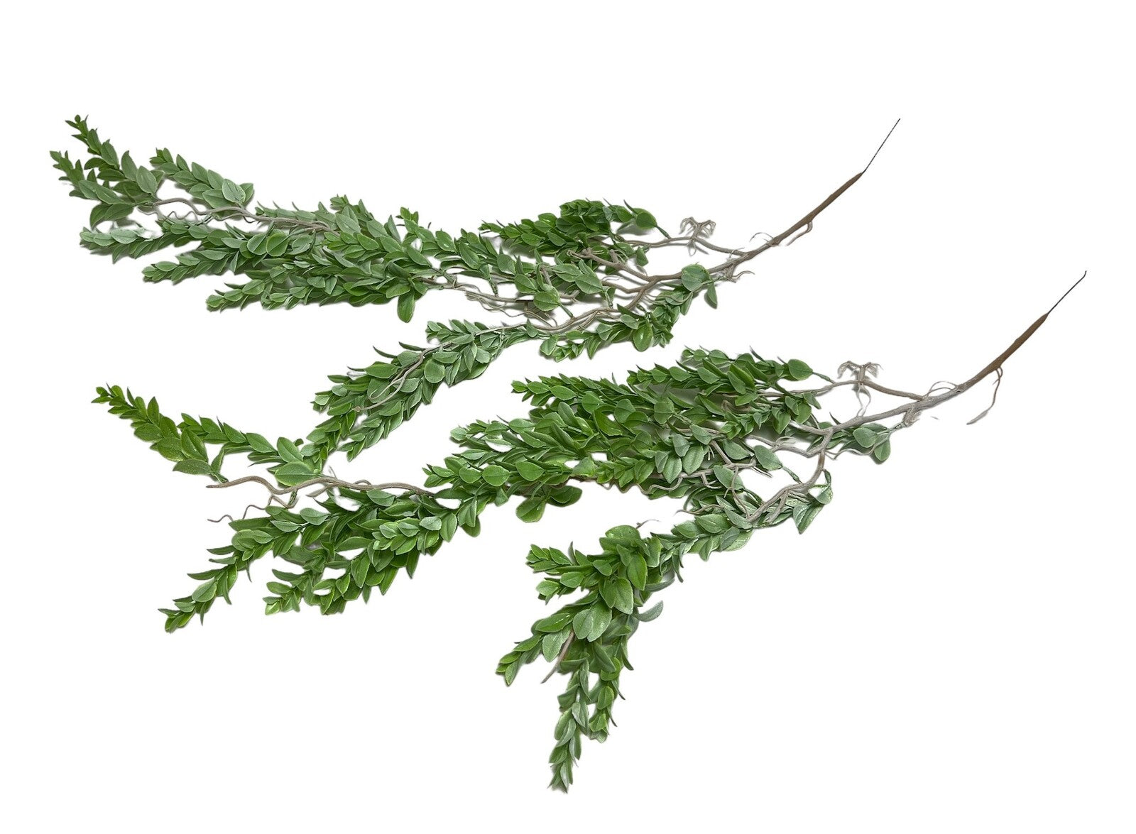 creanga-frunze-decorativa-2set-04