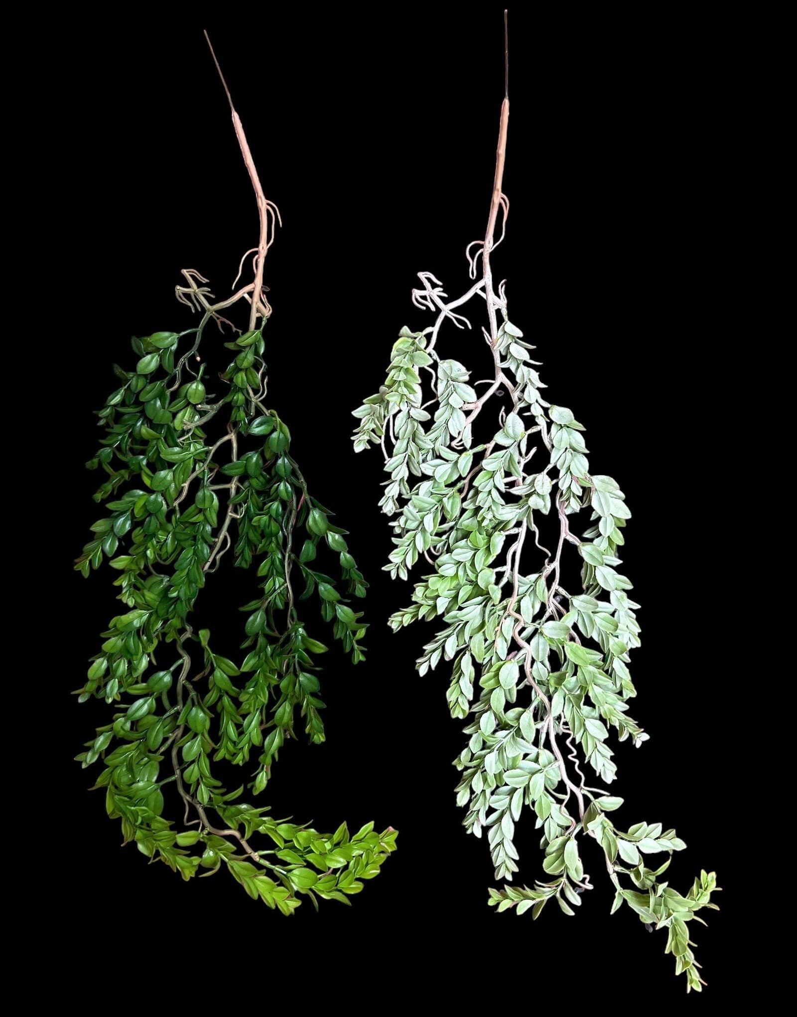 creanga-frunze-decorativa-2set-04