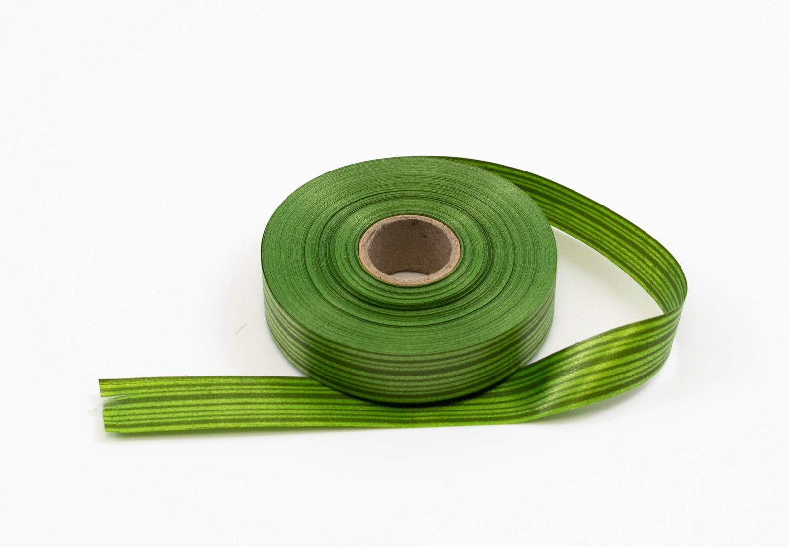 panglica-decorativaaspidistra-2cm