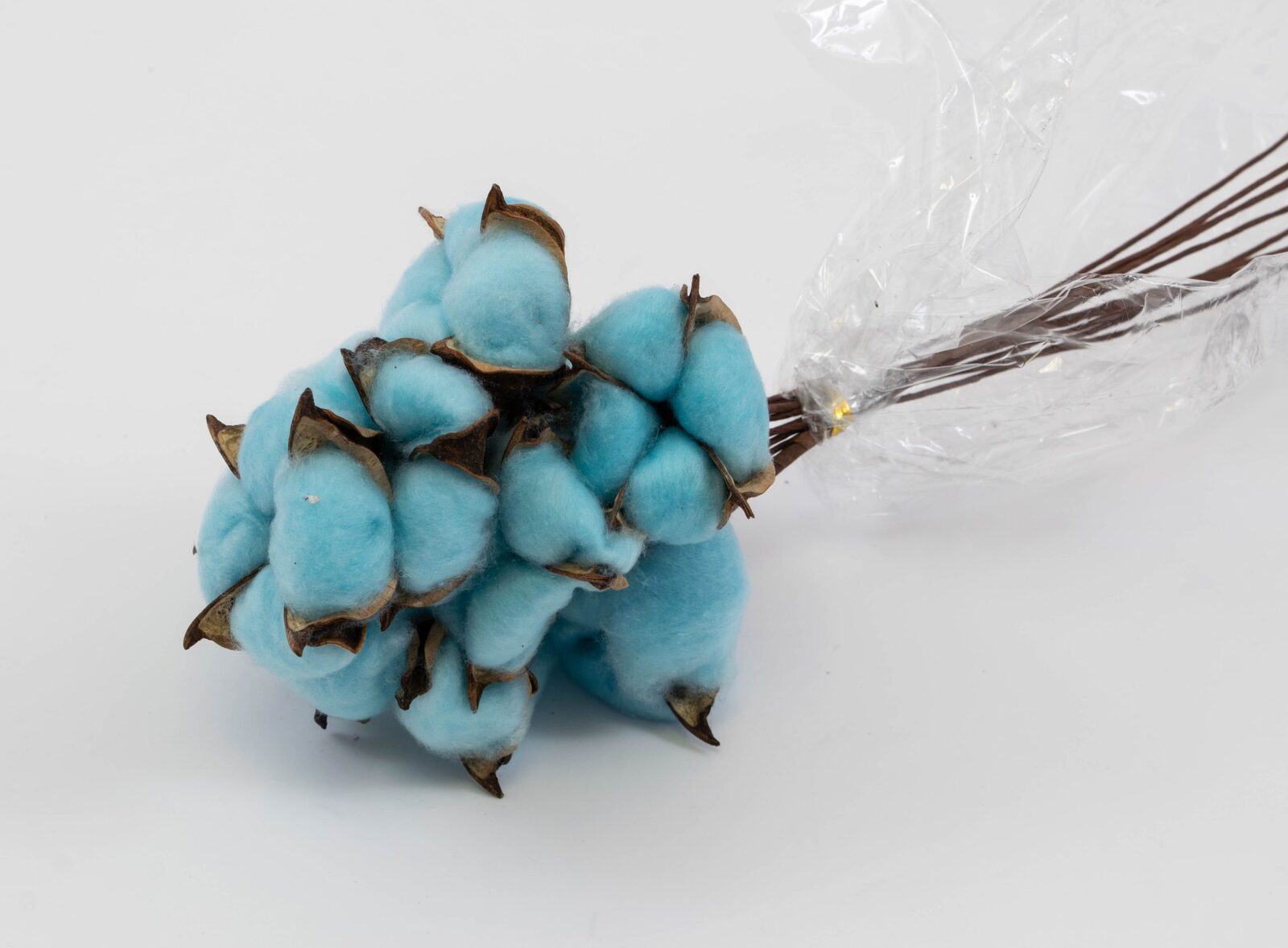 flori-bumbac-10set-bleo-sarma-lunga