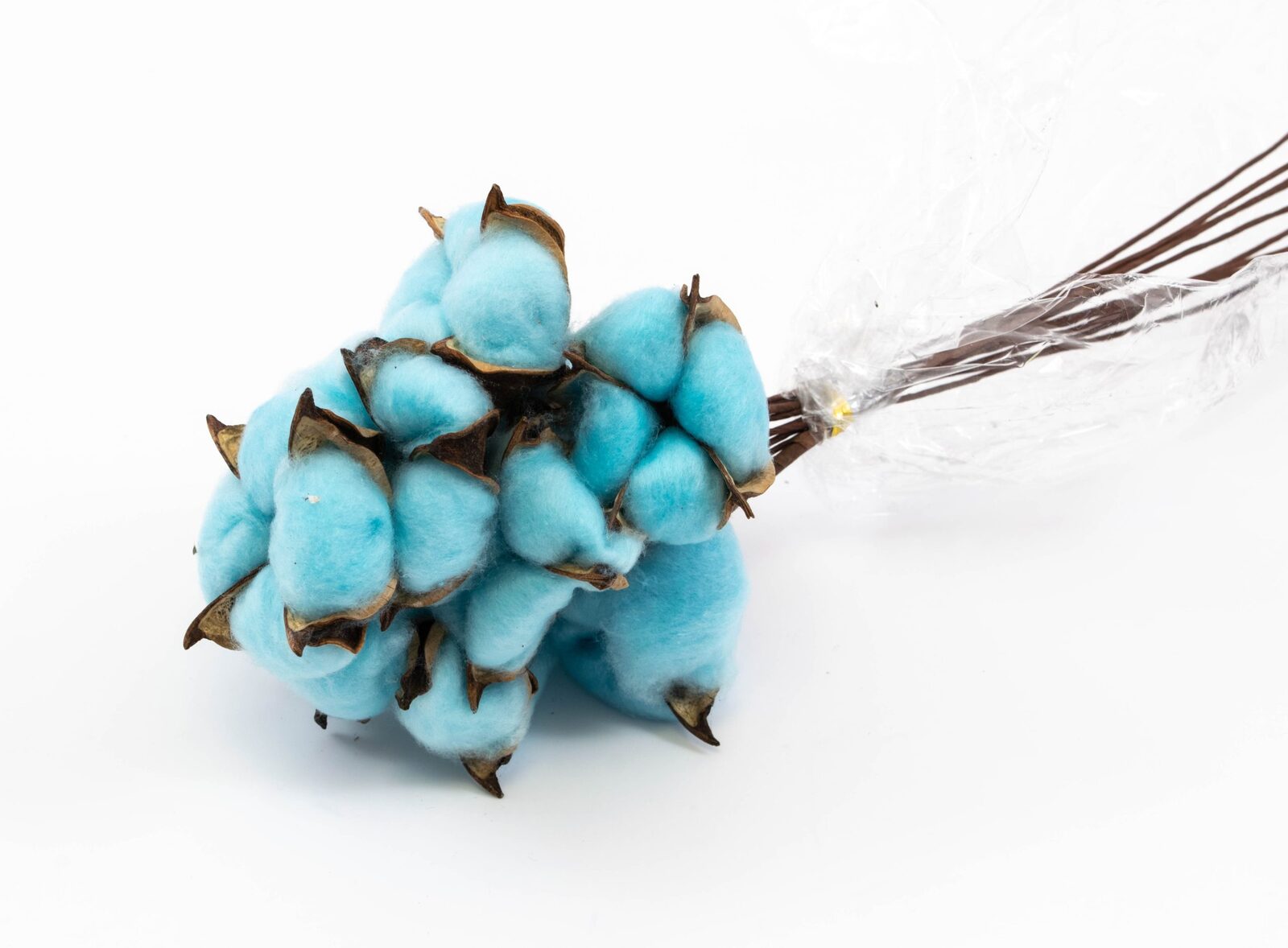 flori-bumbac-10set-bleo-sarma-lunga